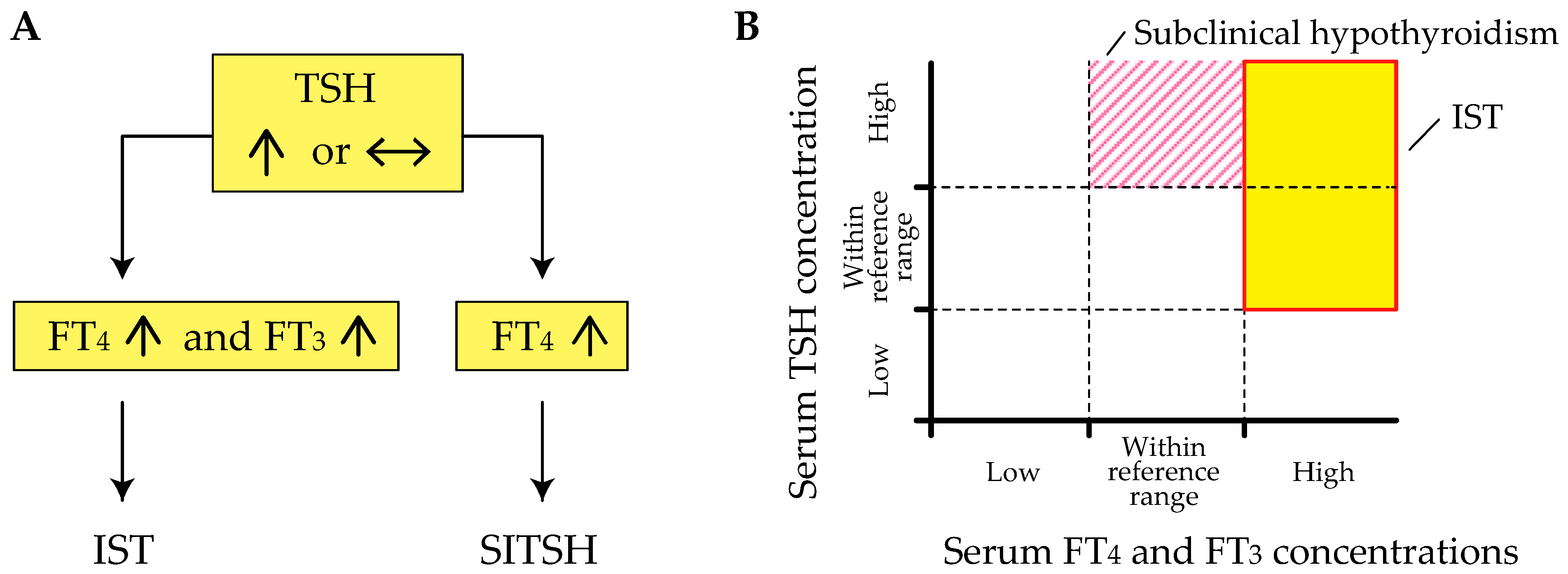 Ijms 22 06611 g001 Ijms 22 06611 g001