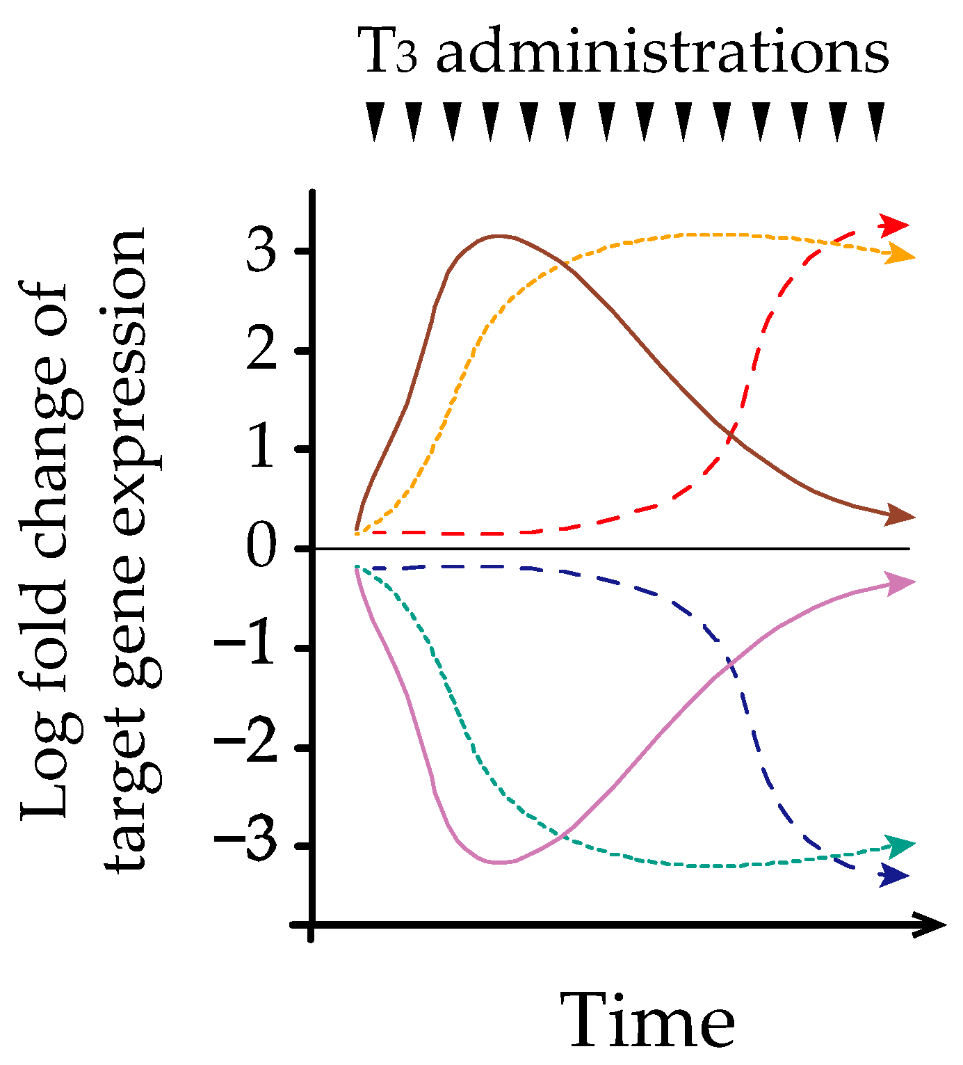 Ijms 22 06611 g002 Ijms 22 06611 g002