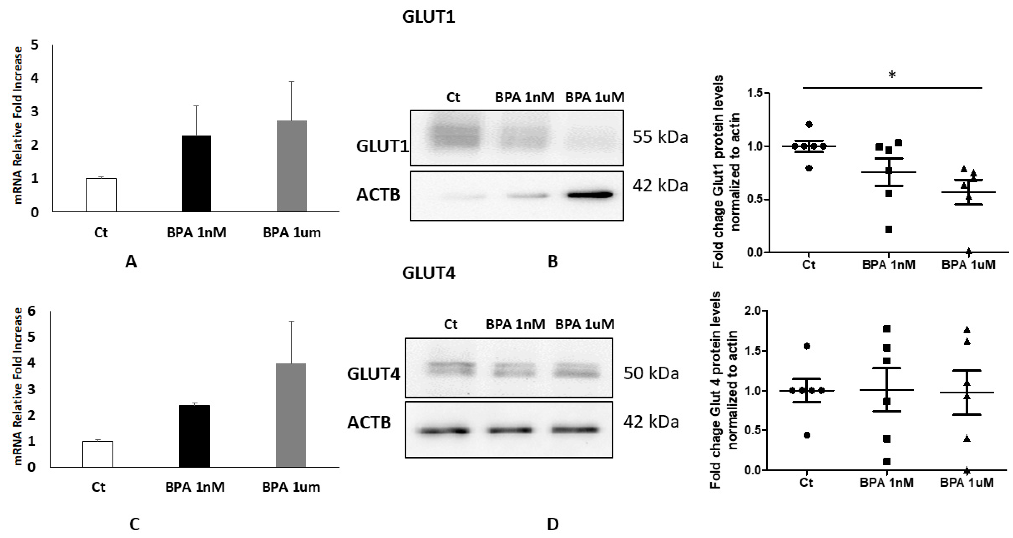 Ijms 22 06625 g004 550