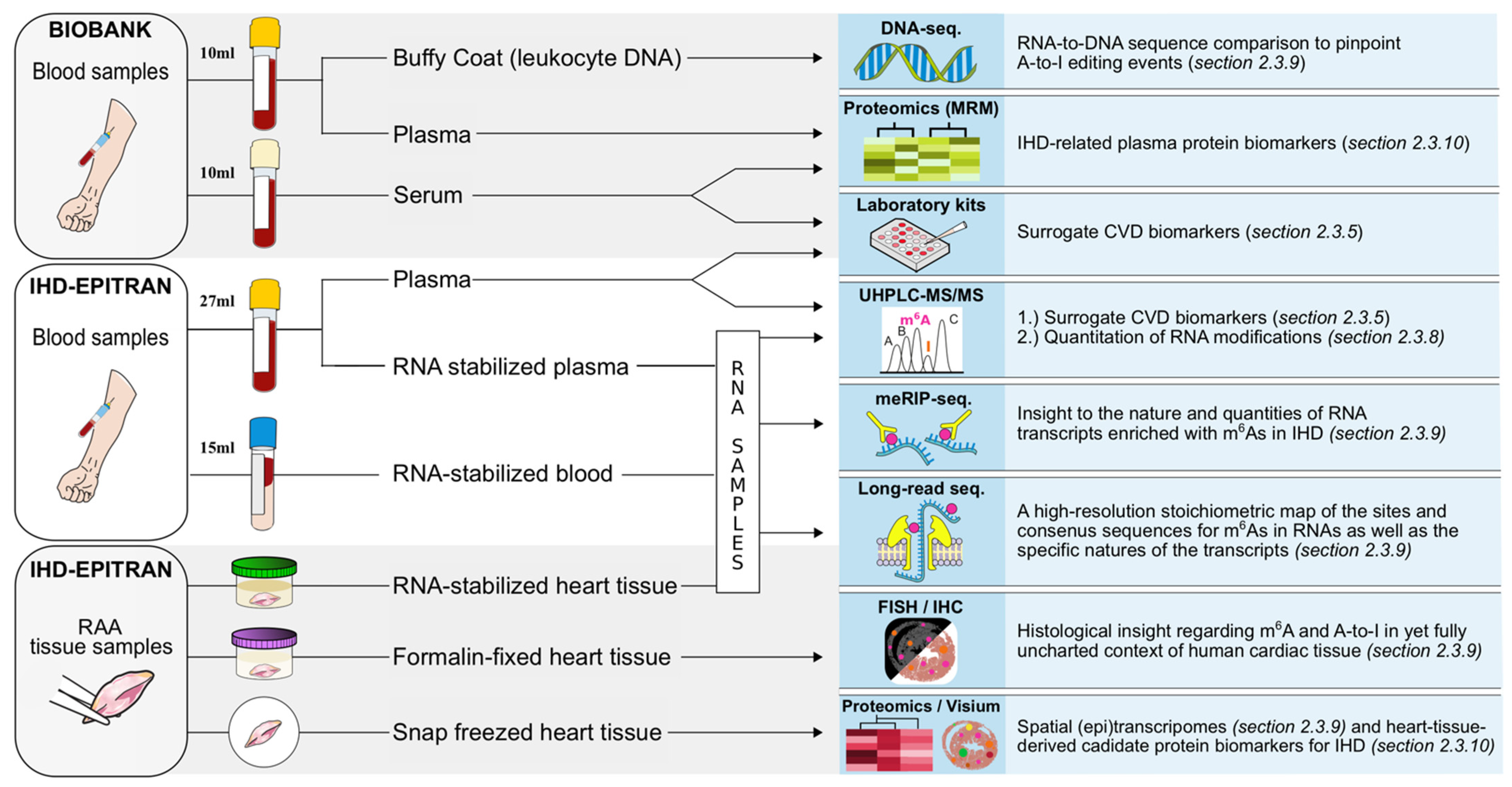 Ijms 22 06630 g004 550