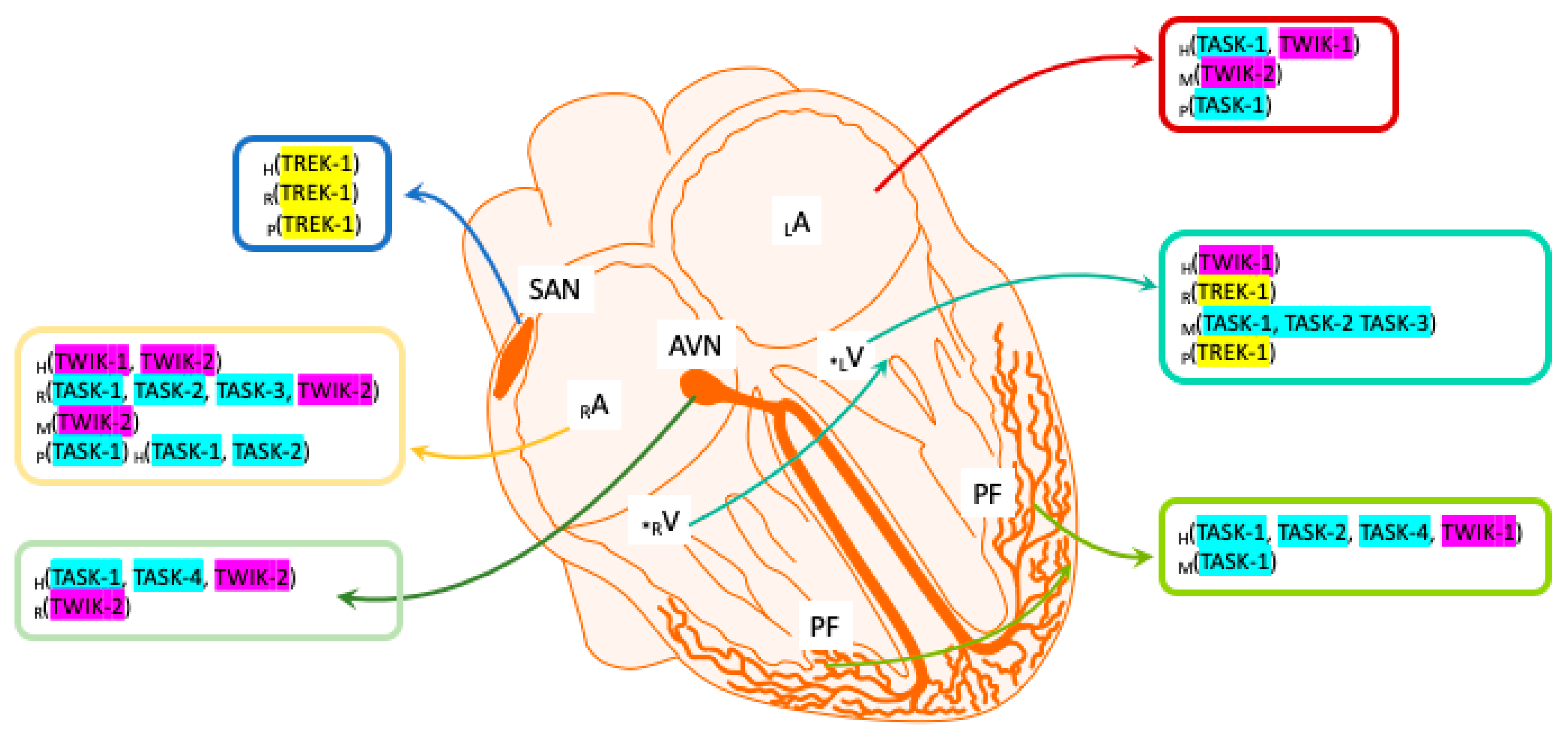 Ijms 22 06635 g001 Ijms 22 06635 g001