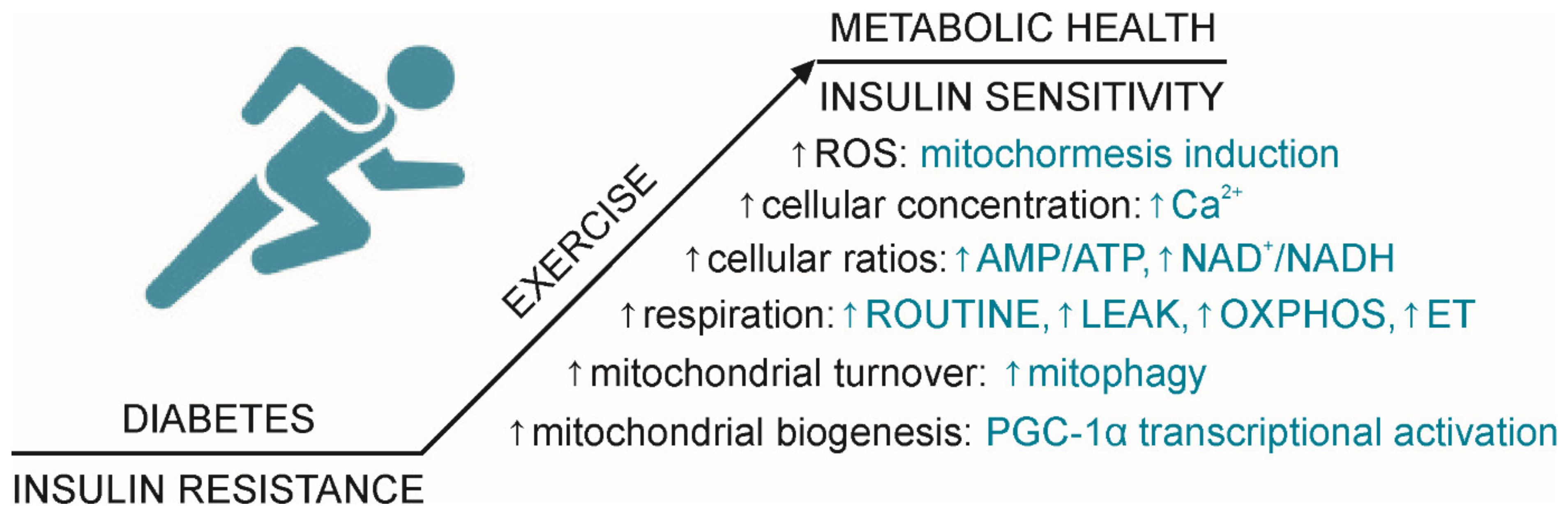 Ijms 22 06642 g001 550
