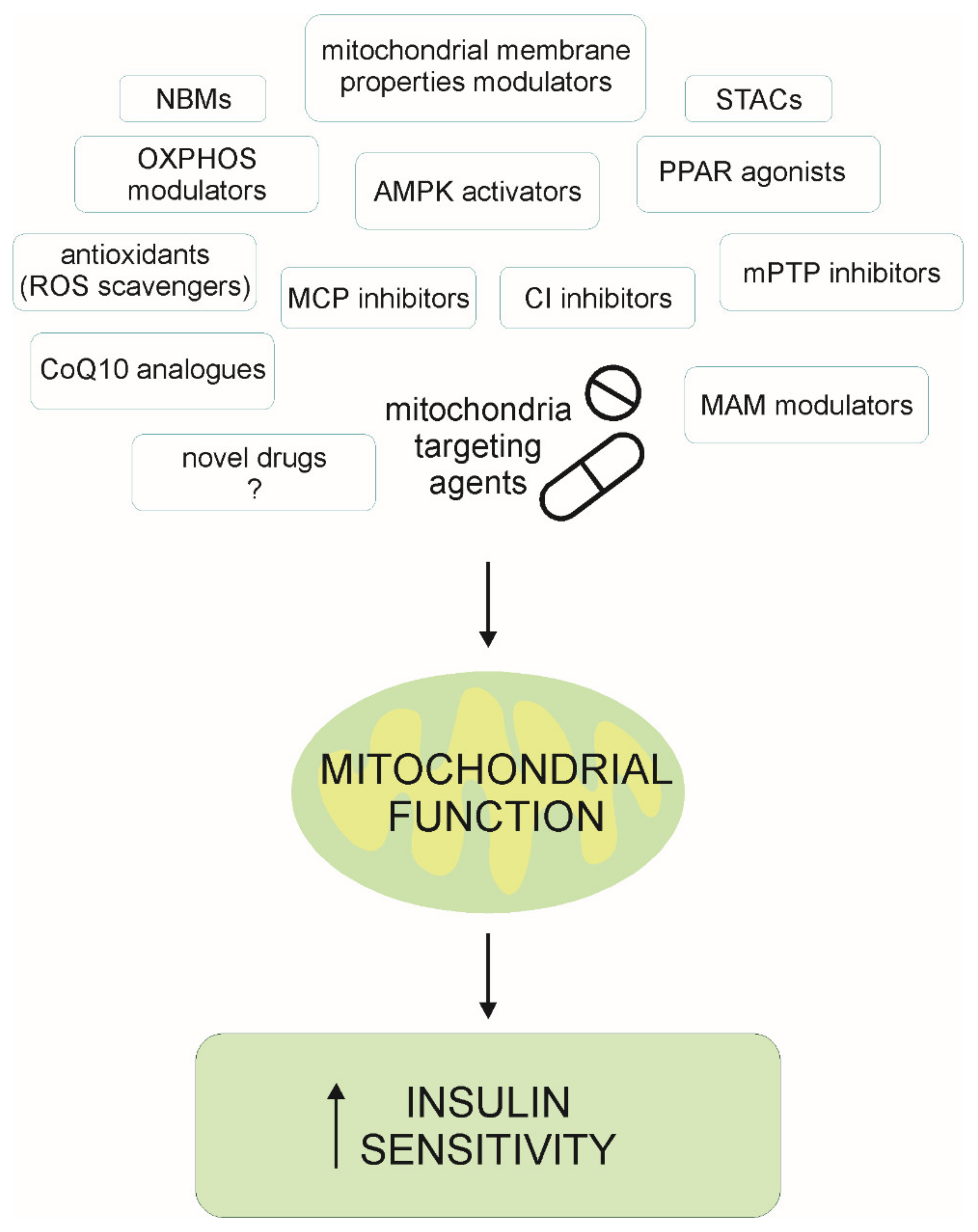 Ijms 22 06642 g002 550