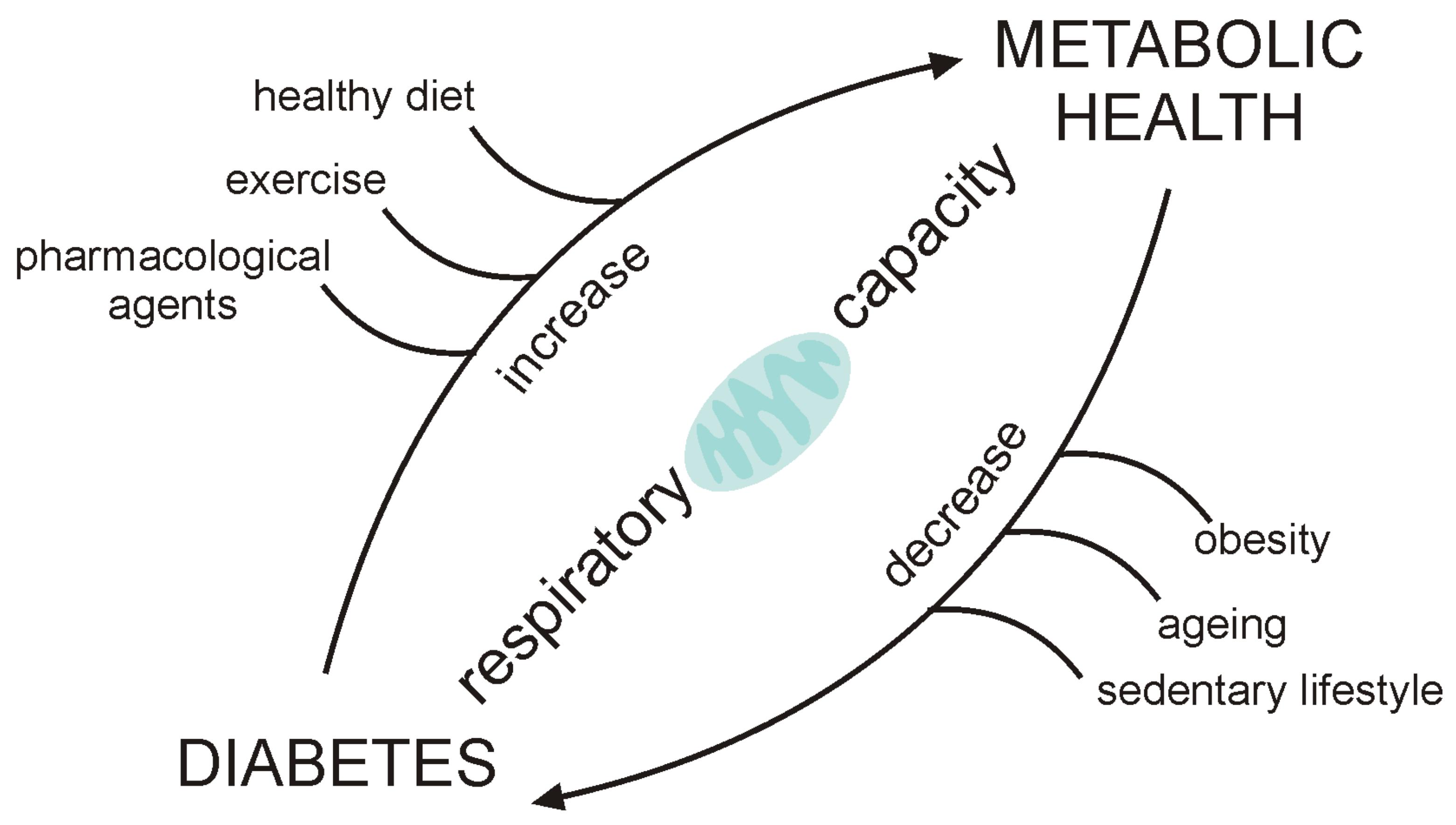 Ijms 22 06642 g003 550