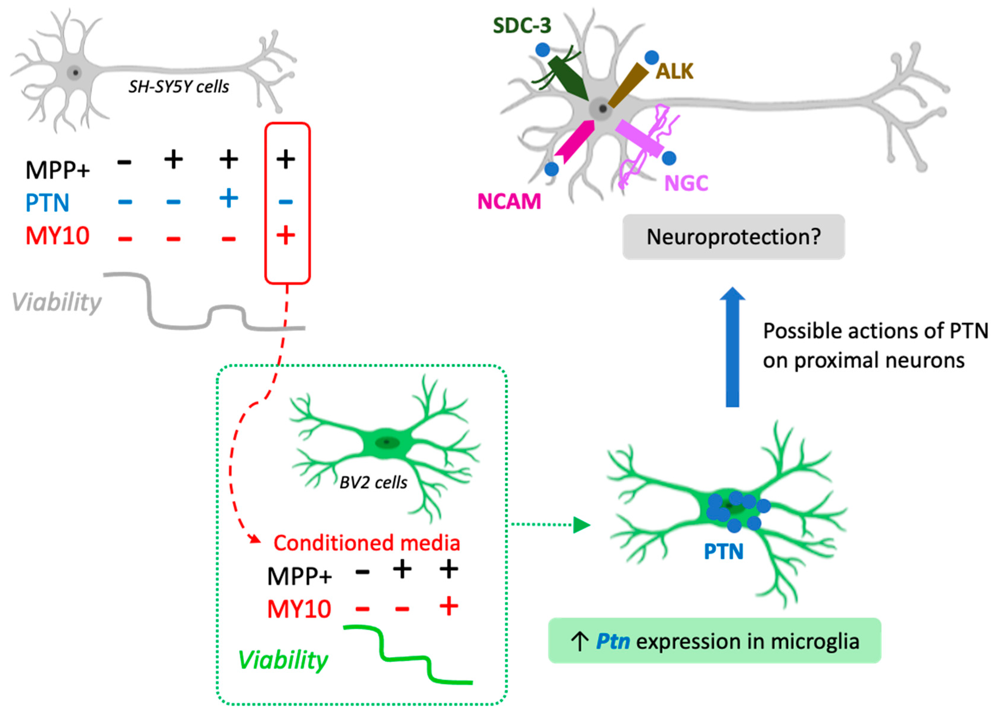 Ijms 22 06646 g005 550