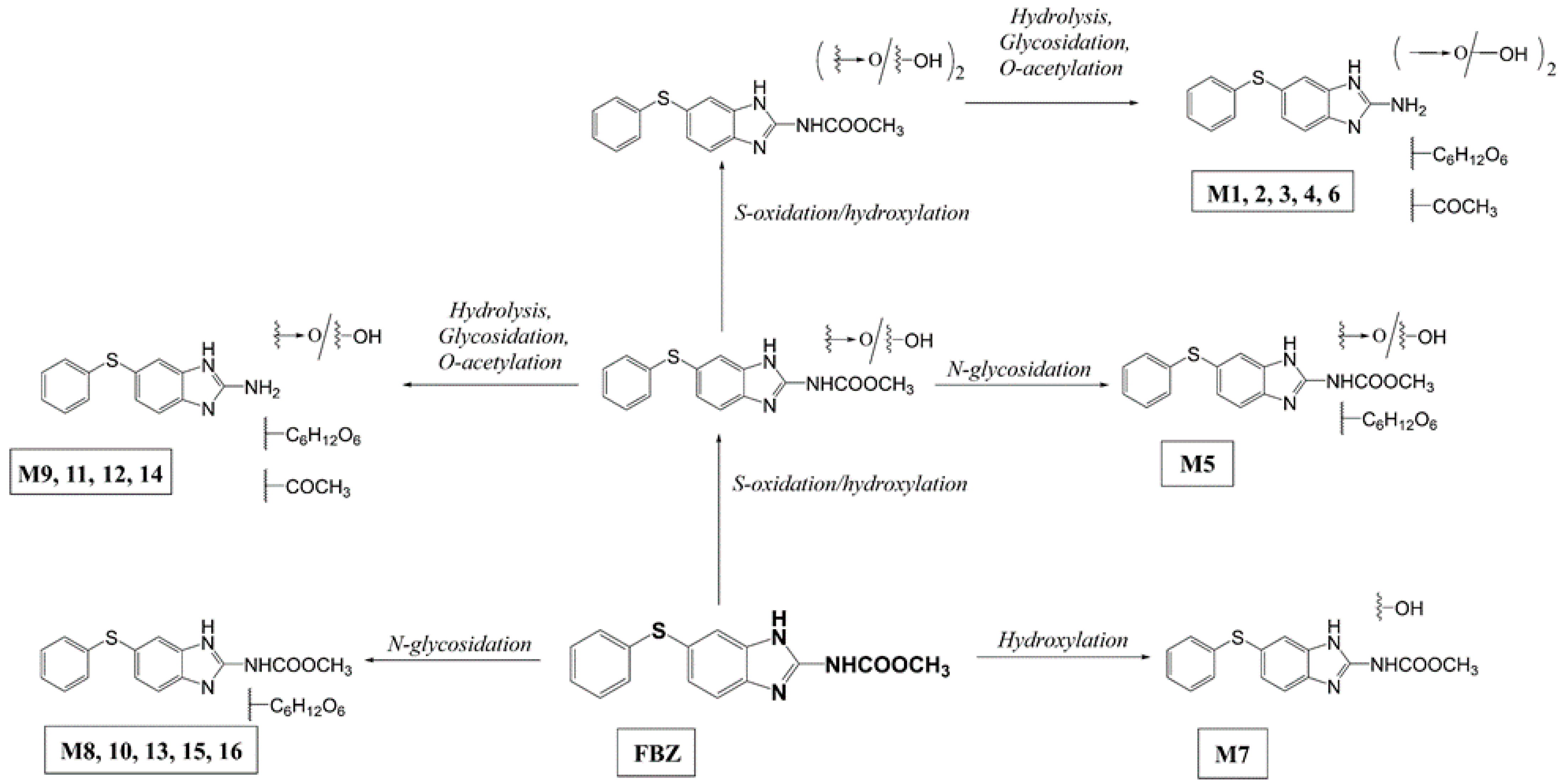 Ijms 22 06647 g001 550