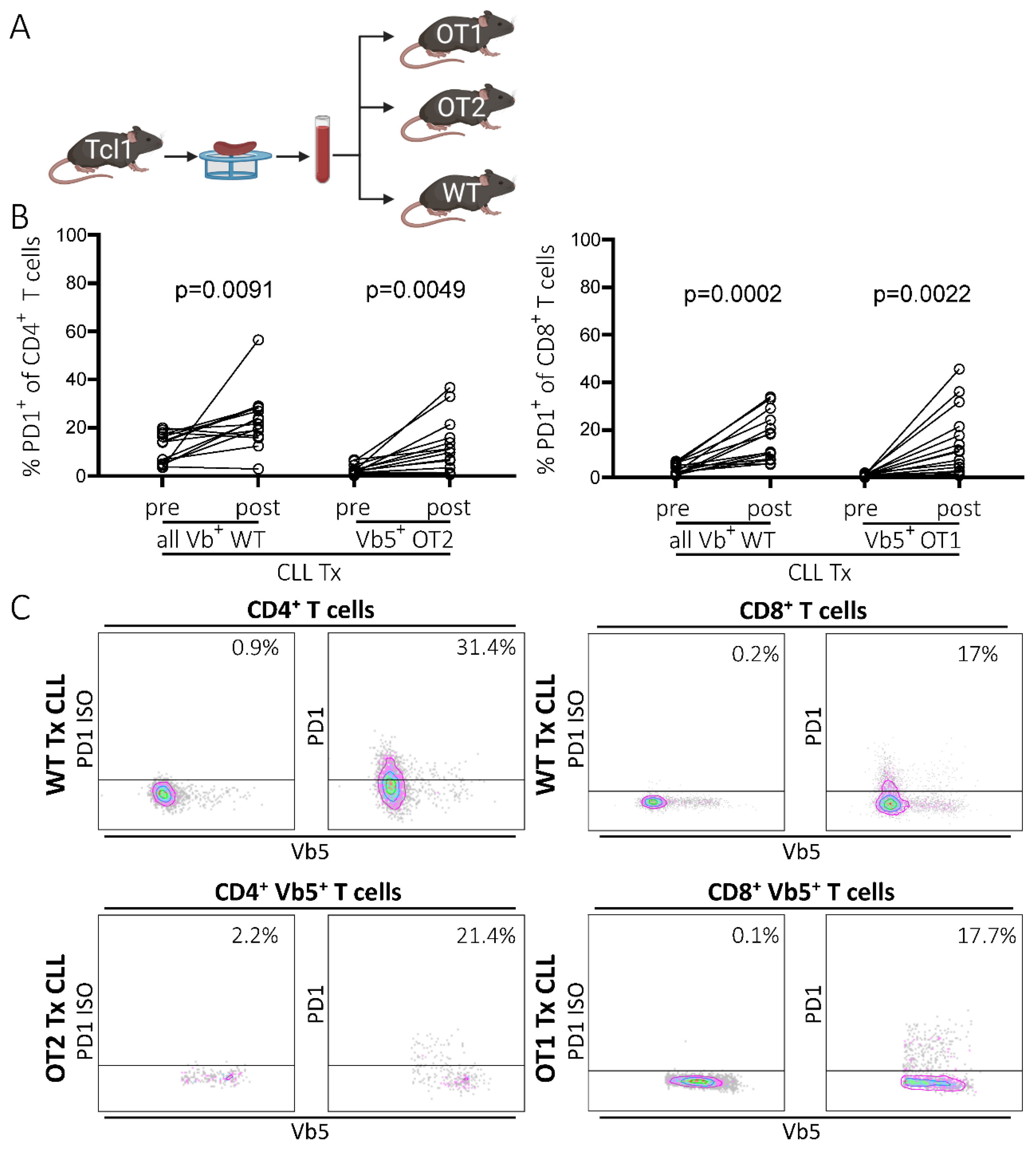 Ijms 22 06648 g001 Ijms 22 06648 g001
