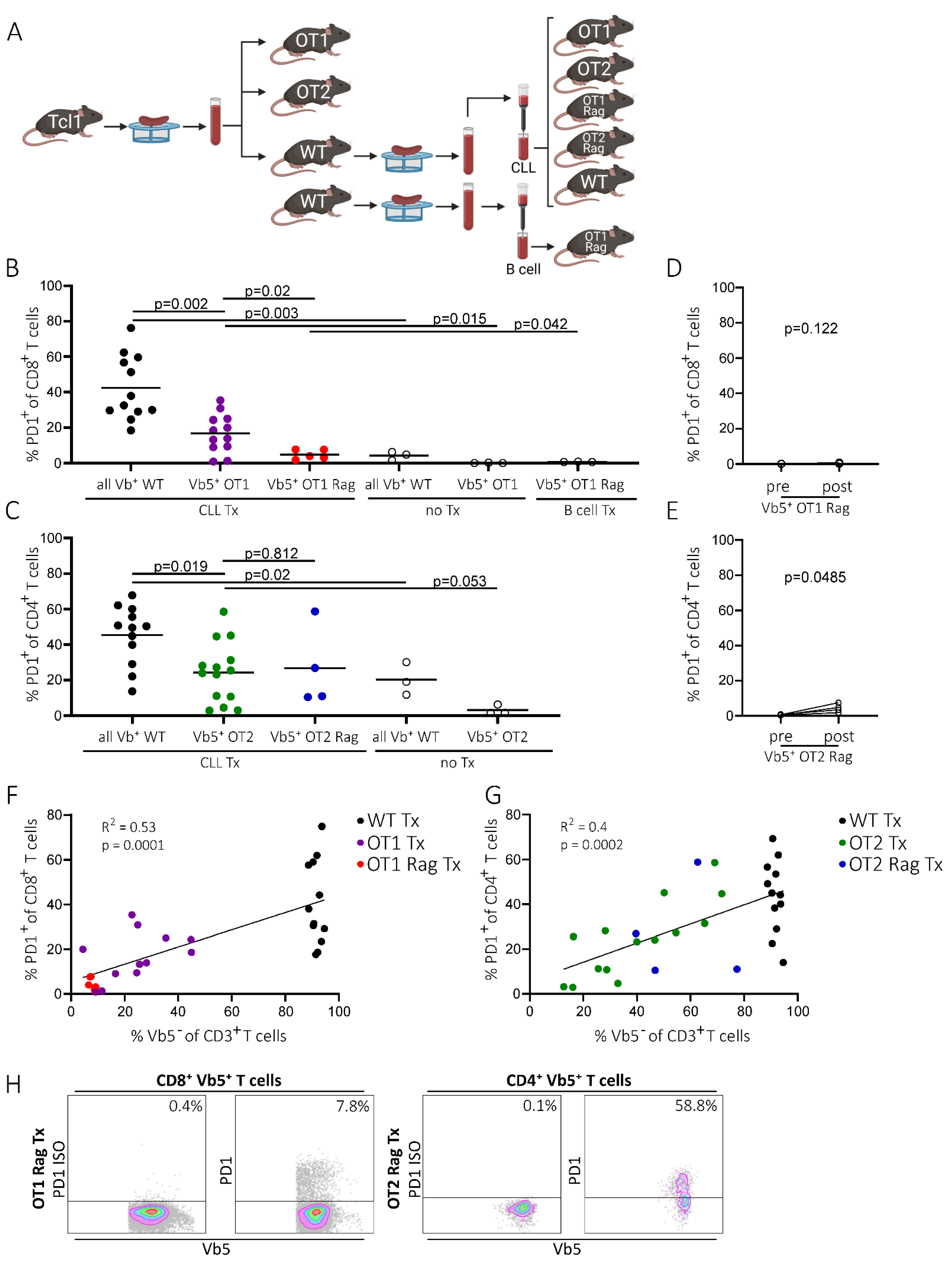 Ijms 22 06648 g003 Ijms 22 06648 g003