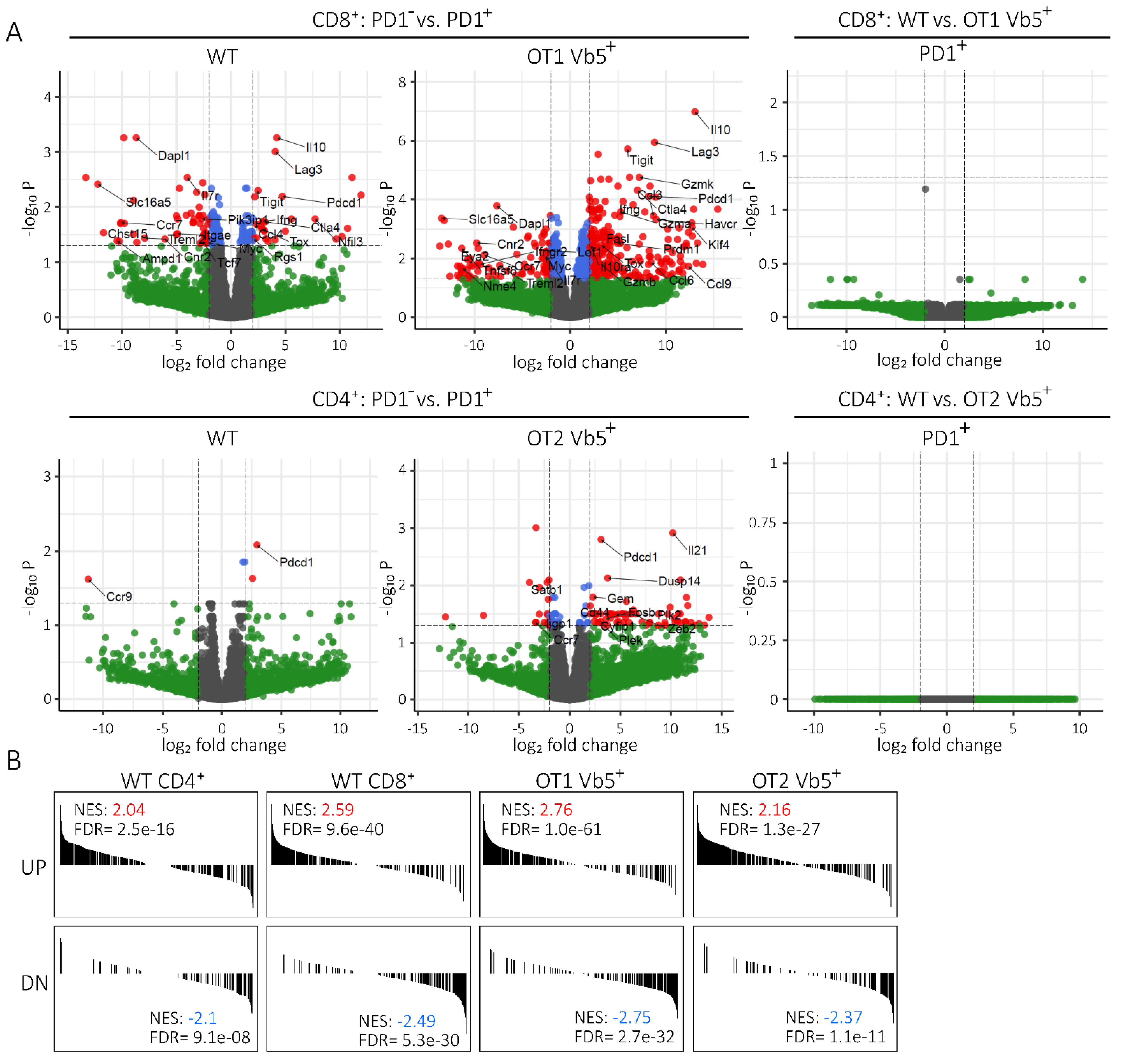 Ijms 22 06648 g004 Ijms 22 06648 g004