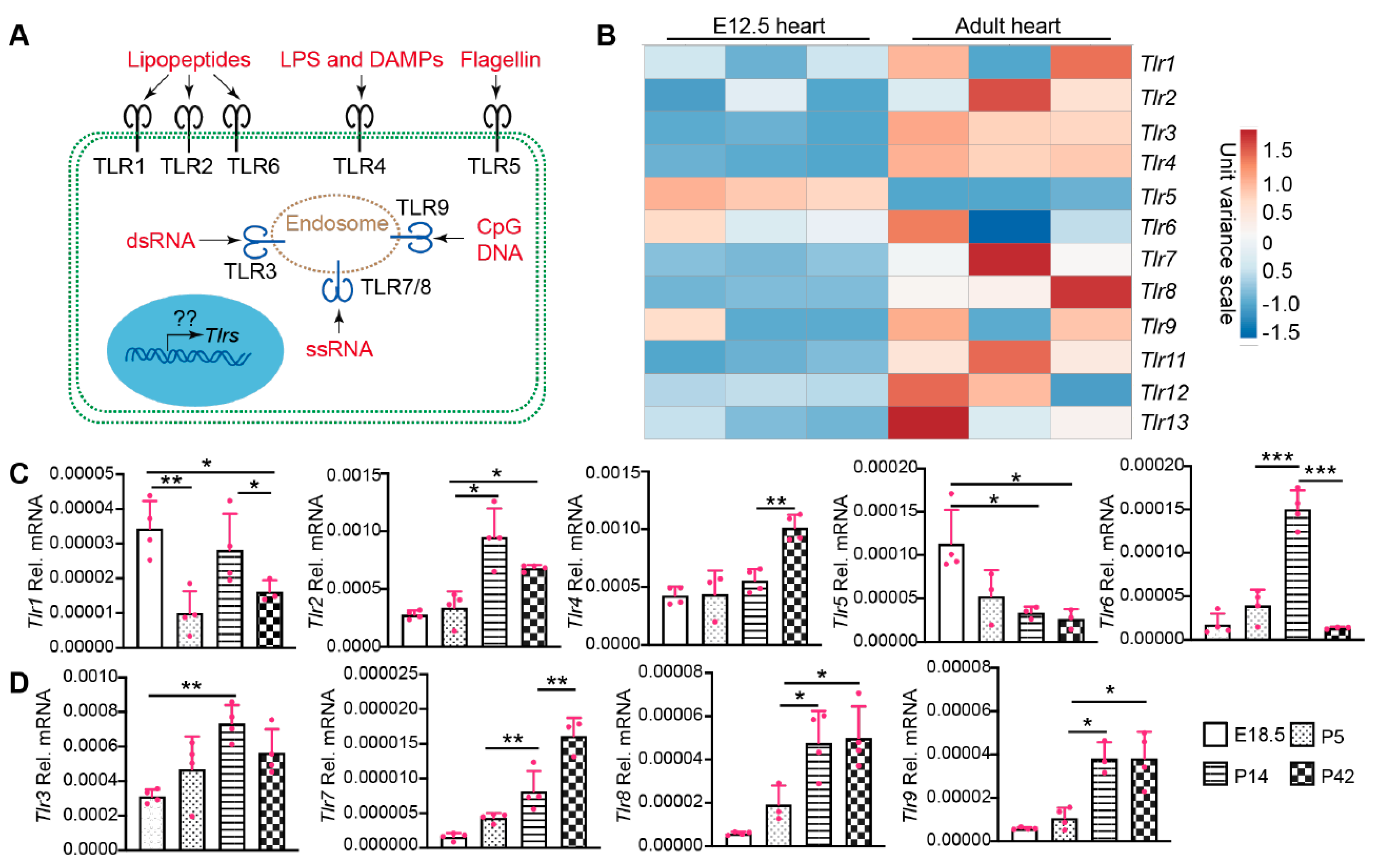 Ijms 22 06649 g001 Ijms 22 06649 g001