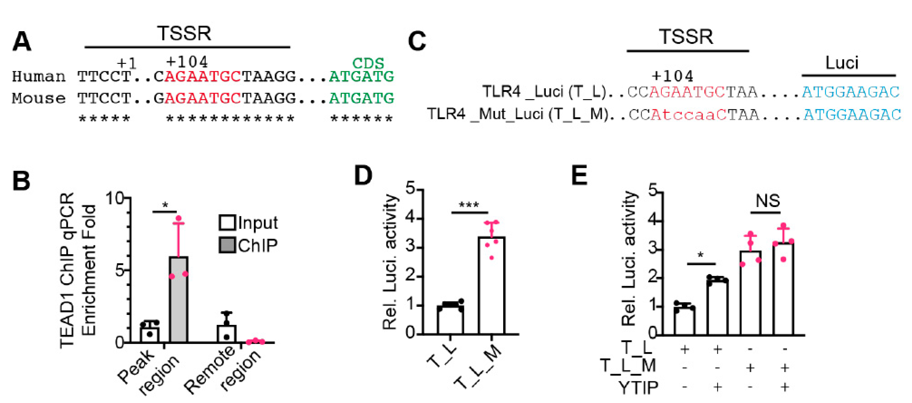 Ijms 22 06649 g005 Ijms 22 06649 g005