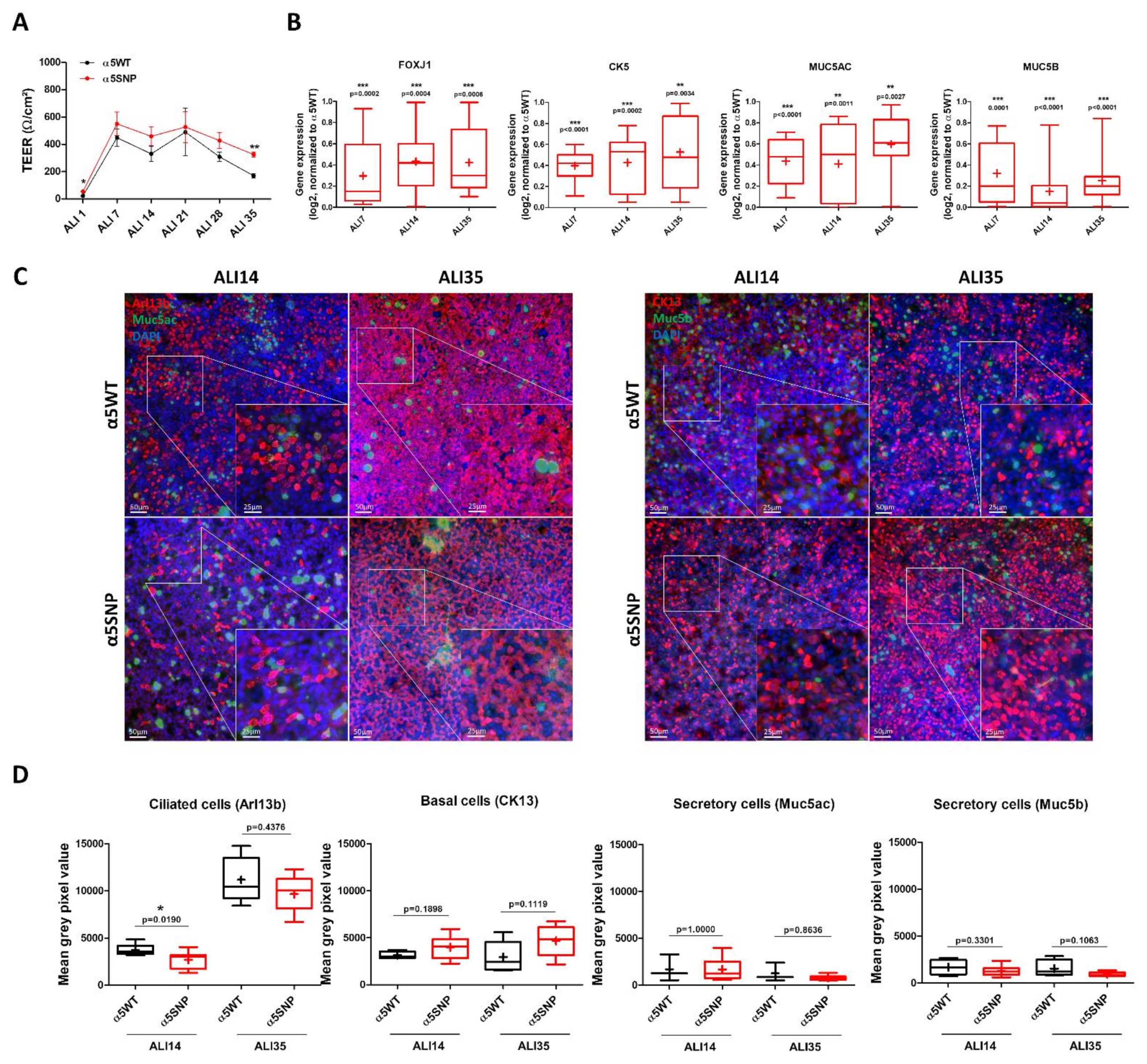 Ijms 22 06657 g002 550