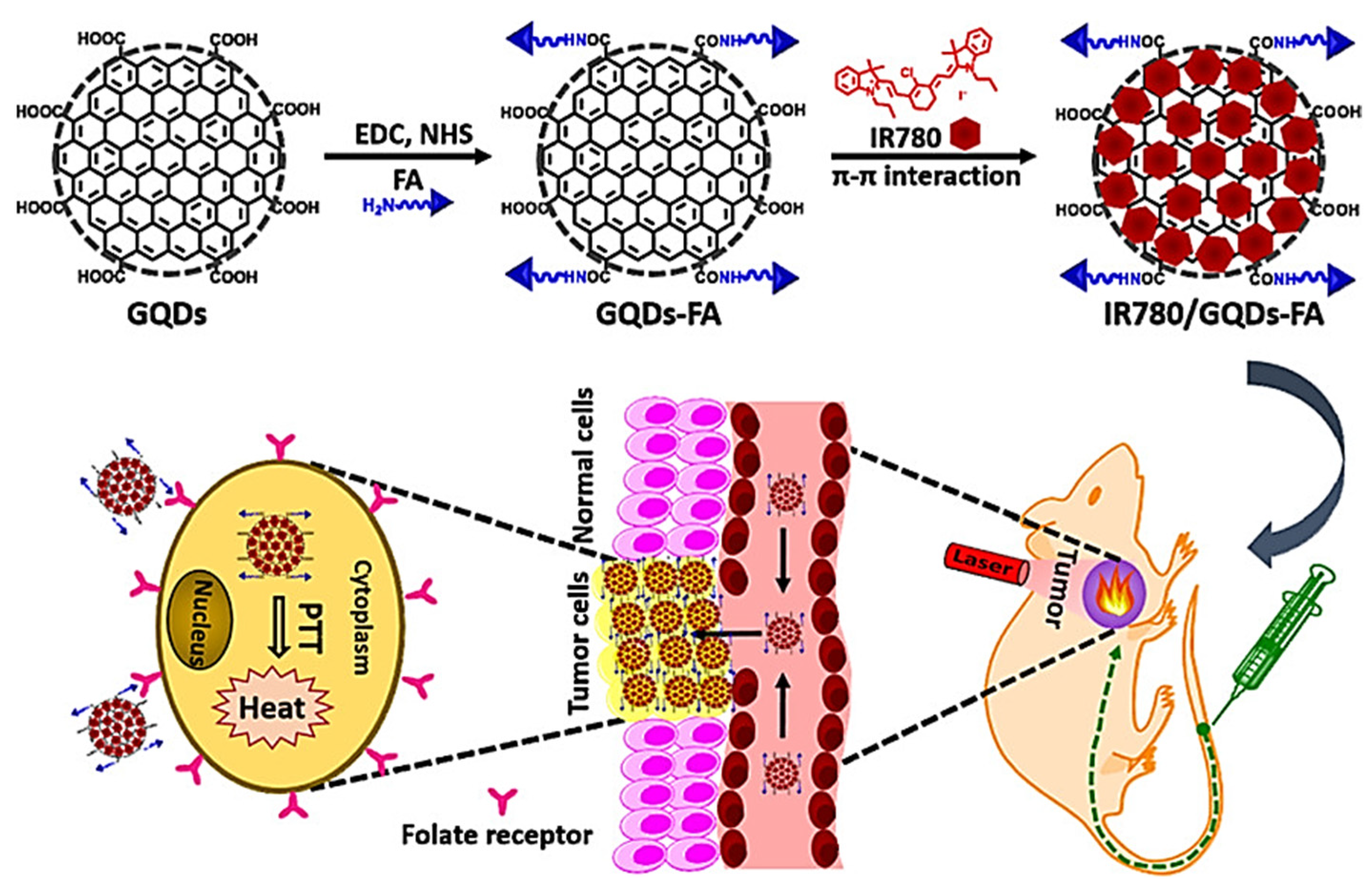 Ijms 22 06658 g006 550