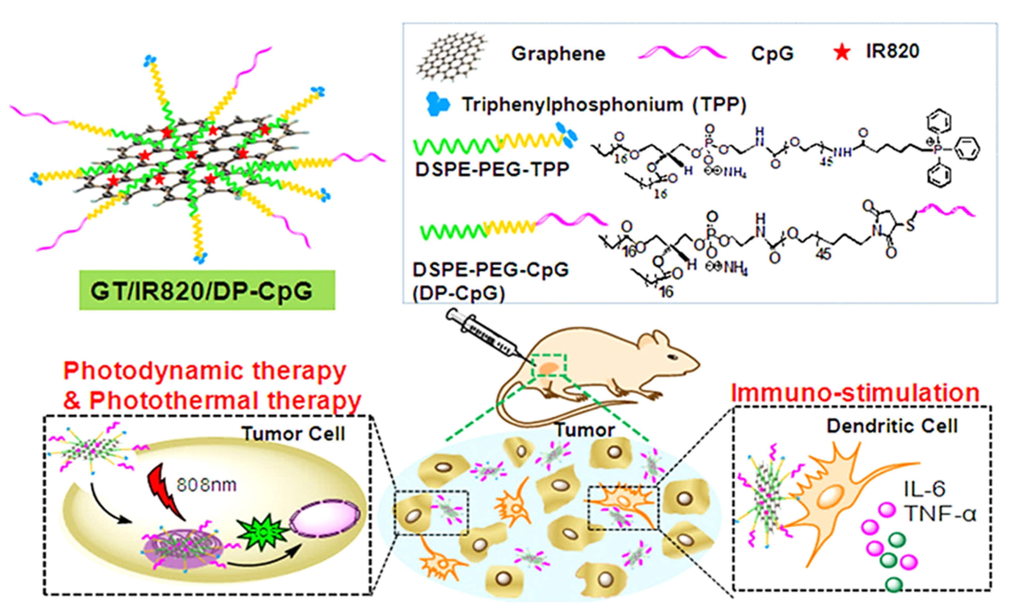 Ijms 22 06658 g007 550