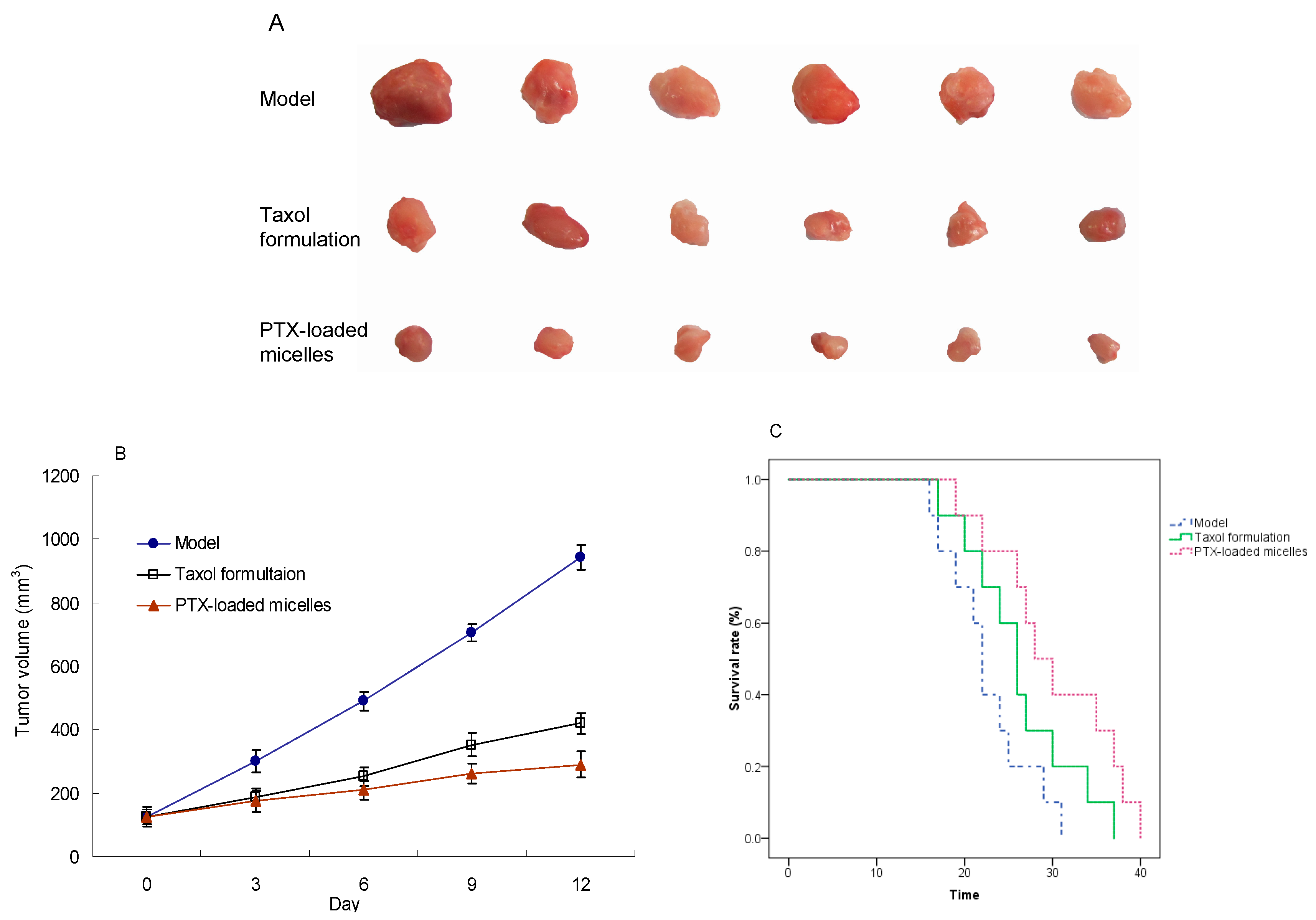 Ijms 22 06659 g008 550