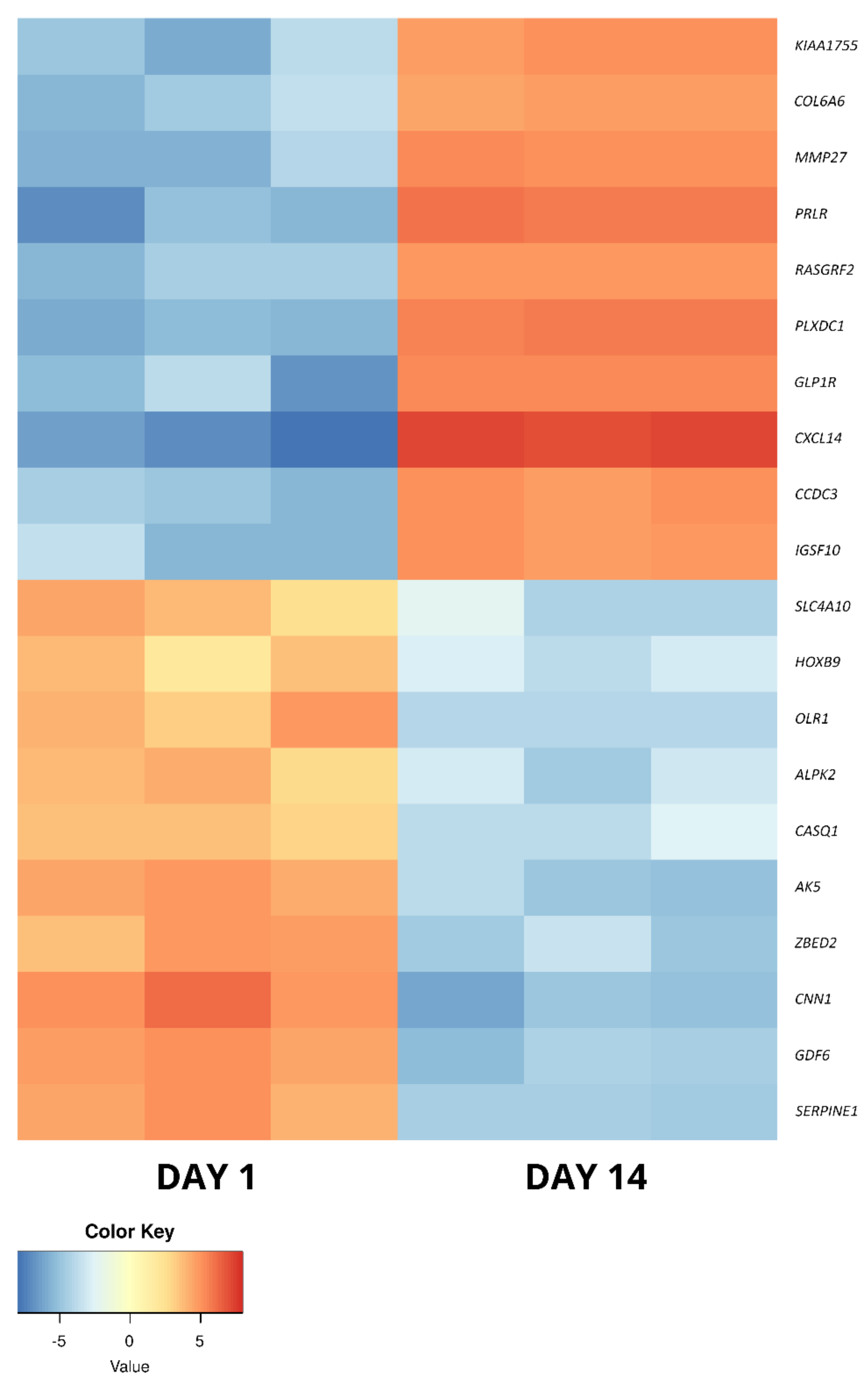 Ijms 22 06663 g005 Ijms 22 06663 g005