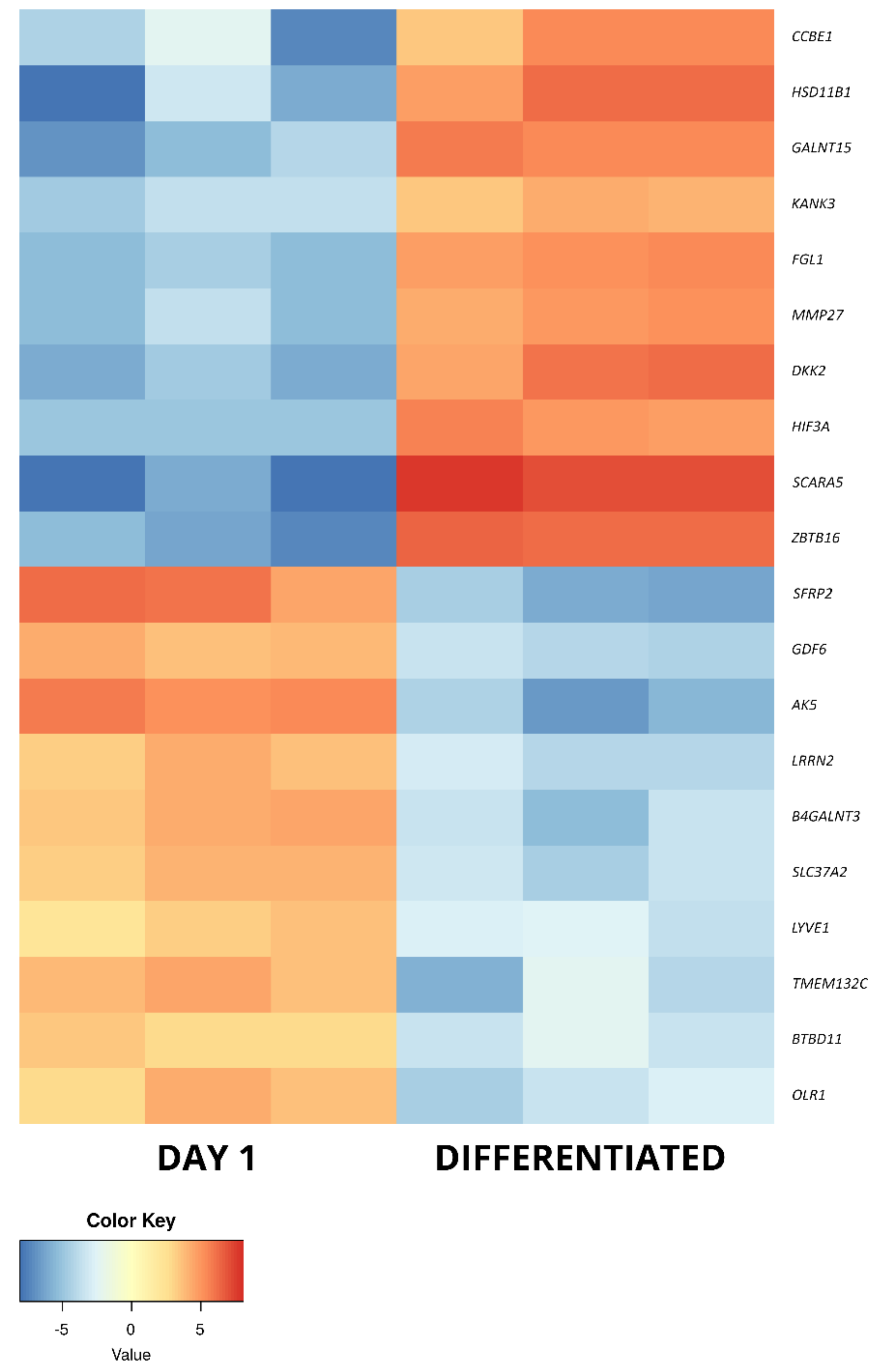 Ijms 22 06663 g006 Ijms 22 06663 g006