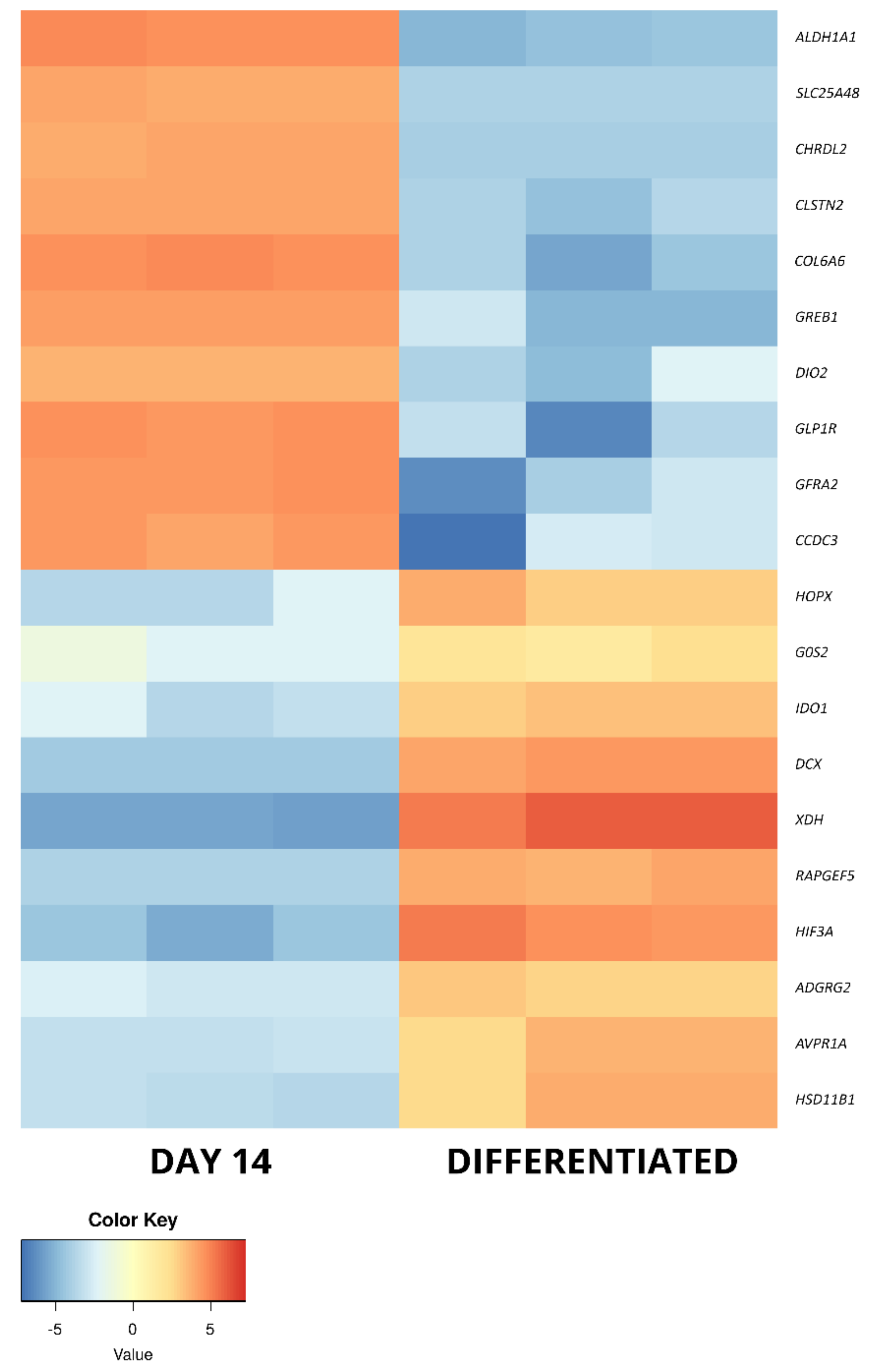 Ijms 22 06663 g007 Ijms 22 06663 g007