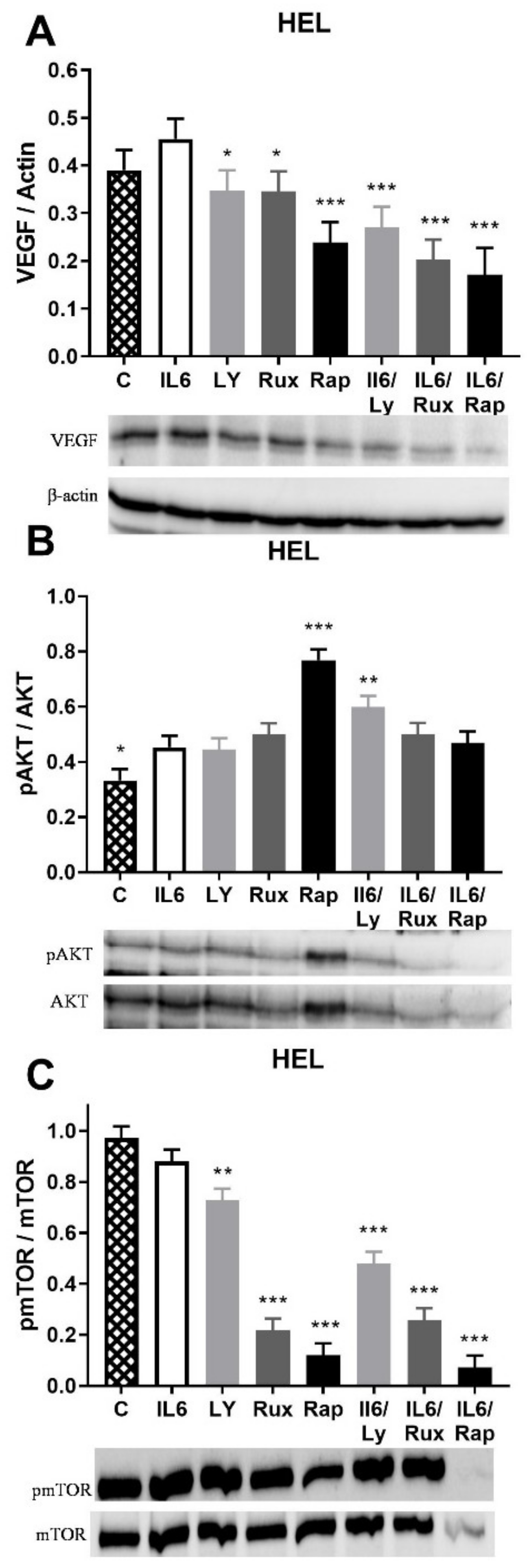 Ijms 22 06671 g002 550