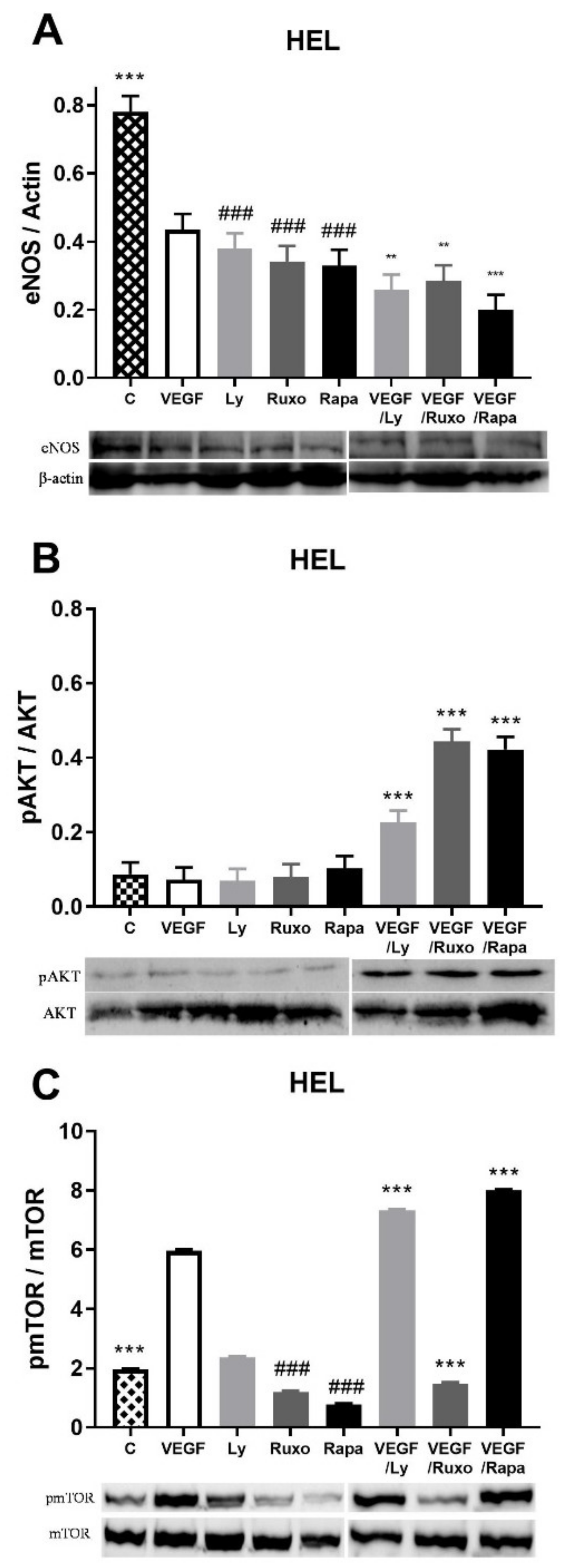 Ijms 22 06671 g004 550