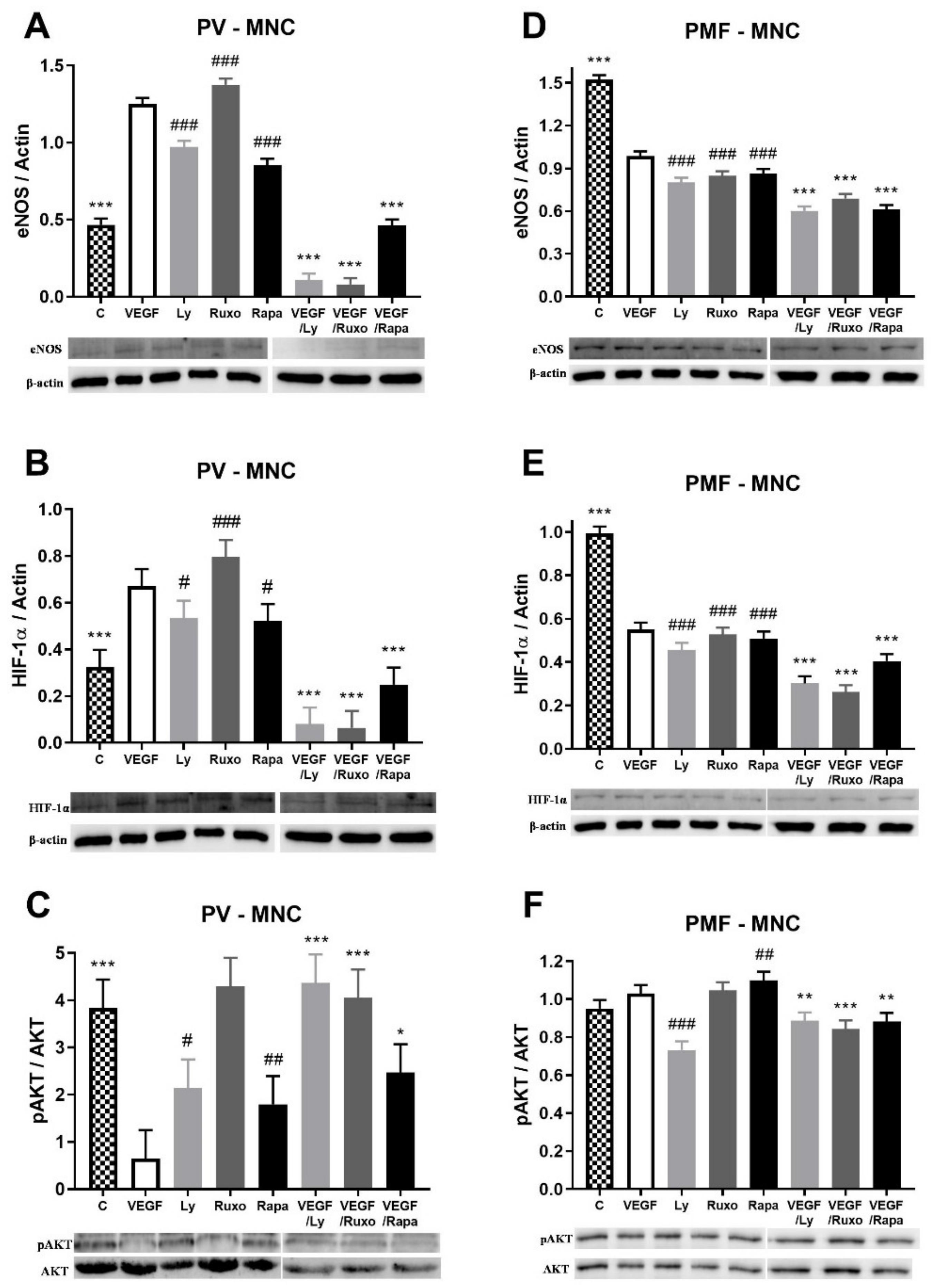 Ijms 22 06671 g005 550