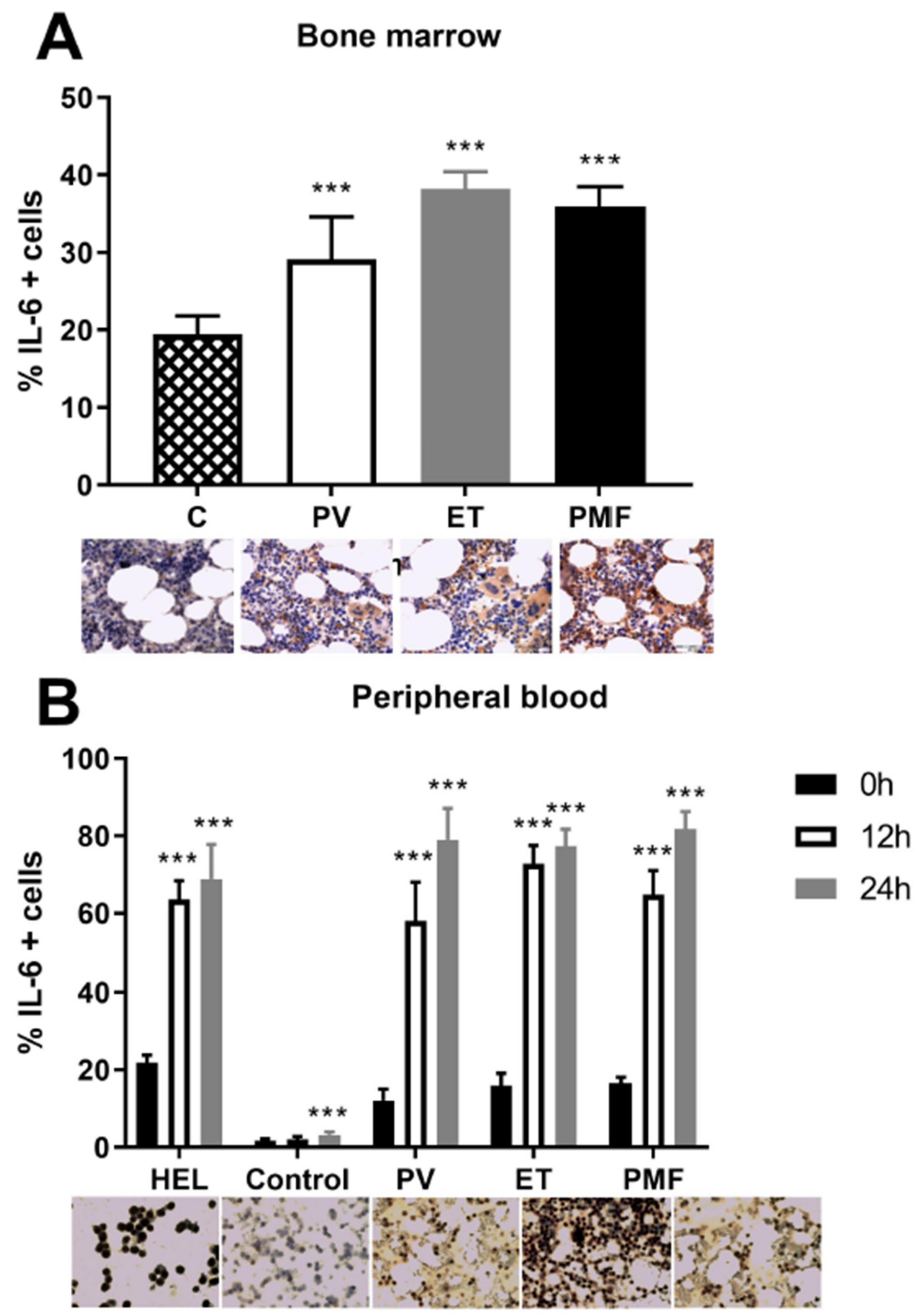Ijms 22 06671 g006 550