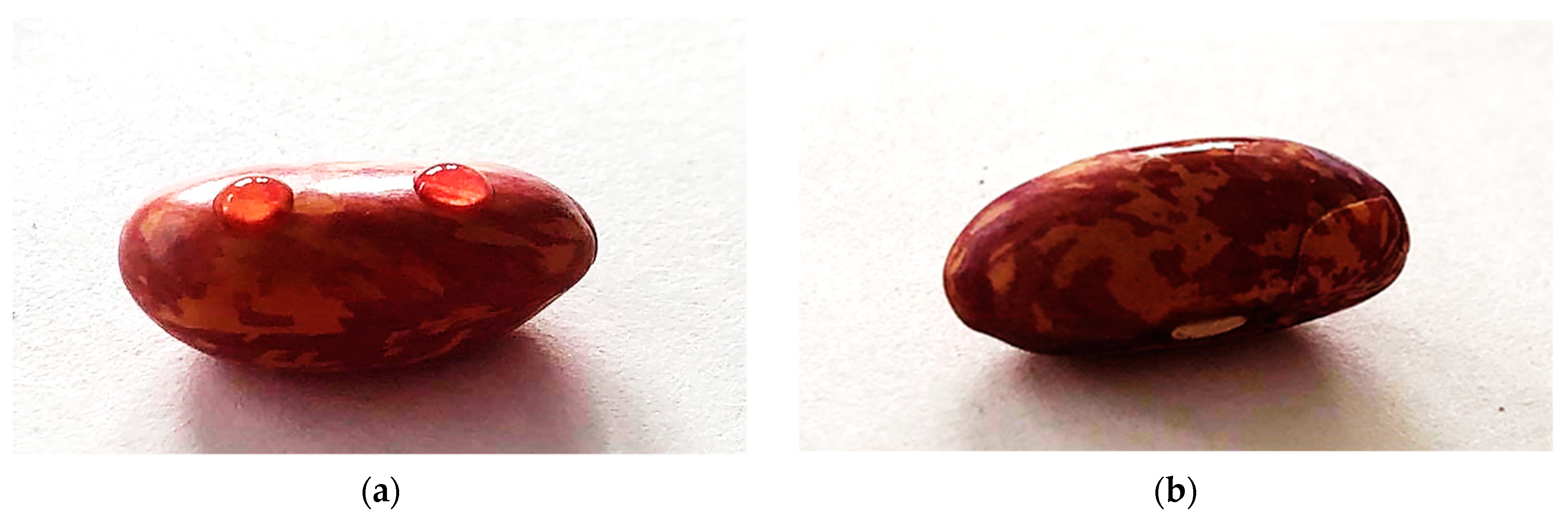 Ijms 22 06672 g002 550