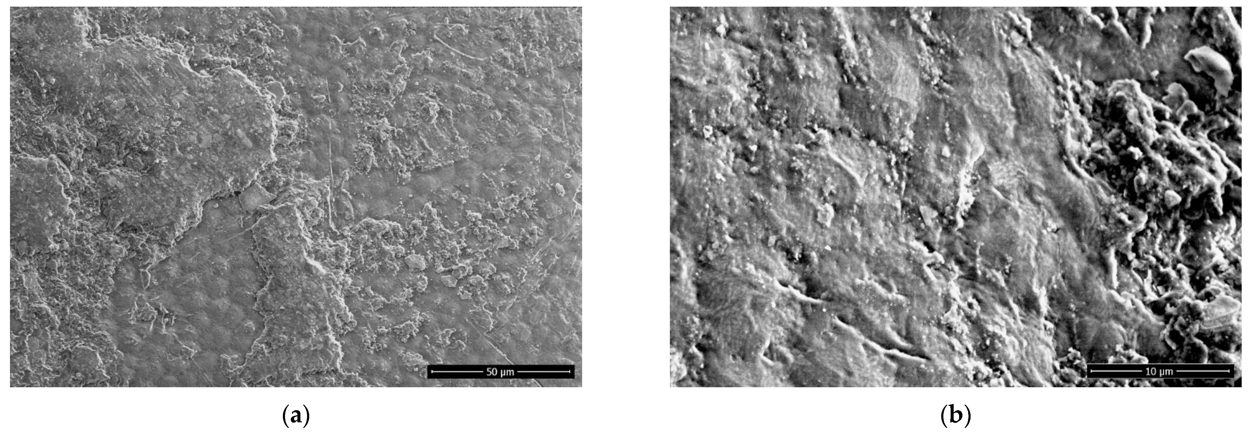 Ijms 22 06672 g007a 550