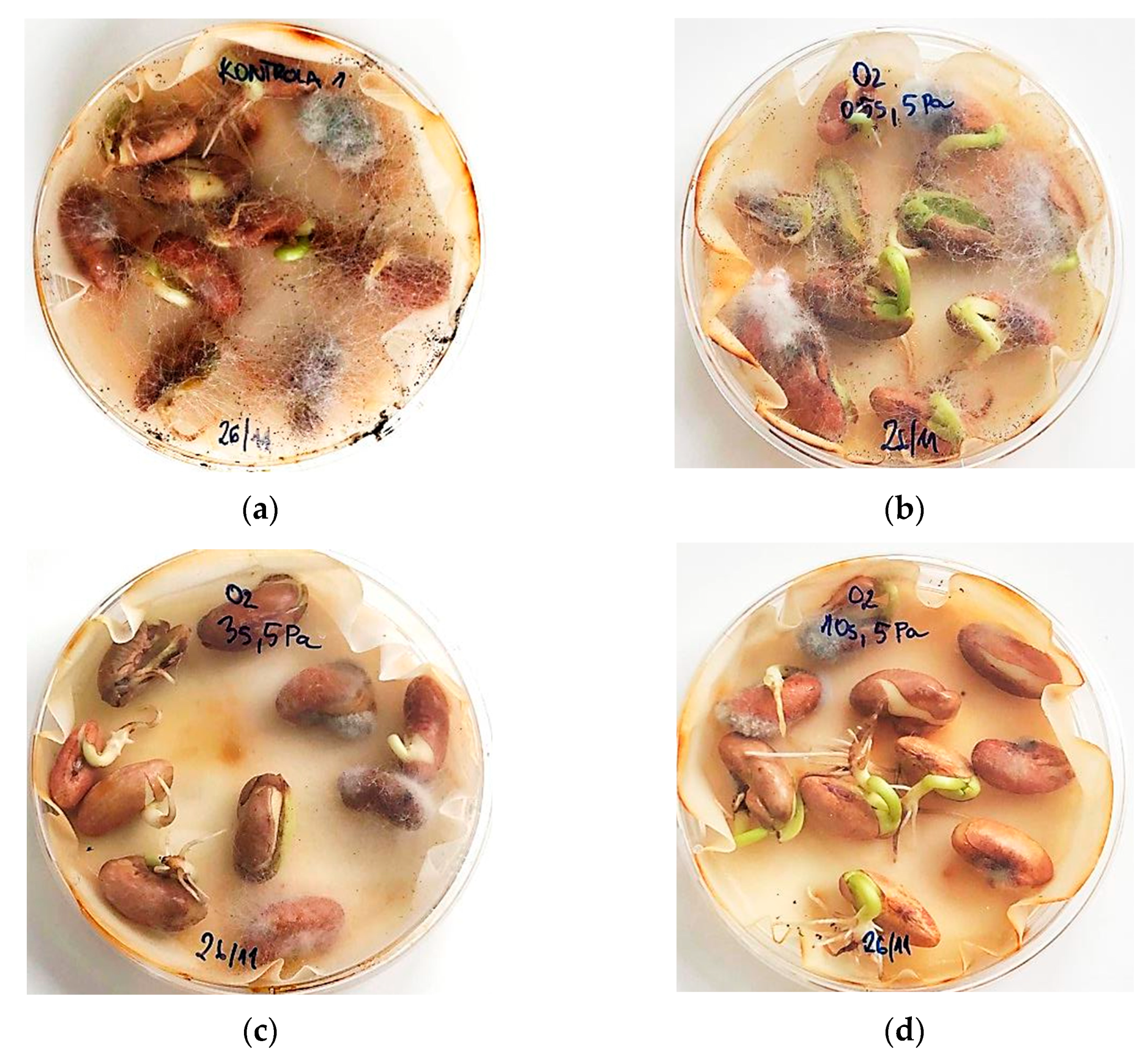 Ijms 22 06672 g012 550