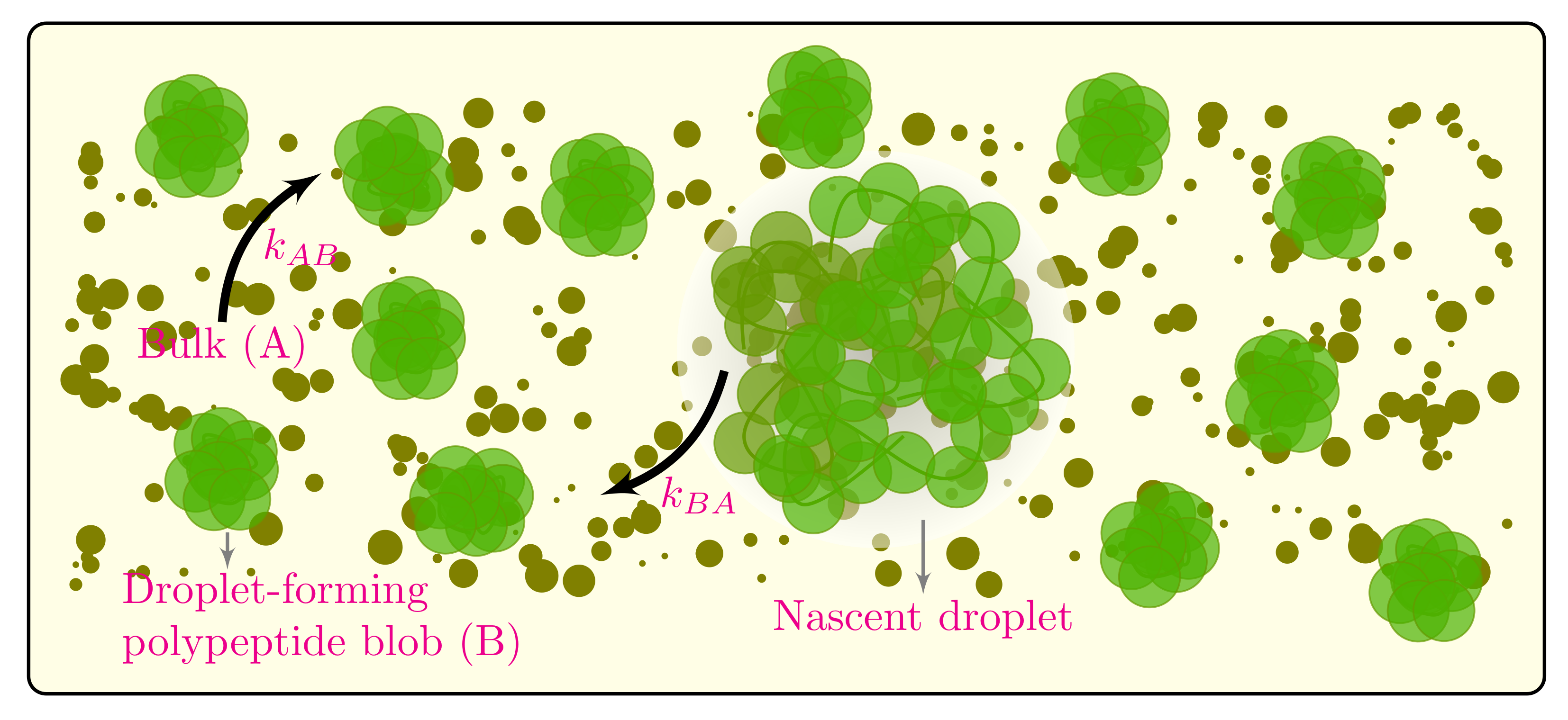 Ijms 22 06675 g001 550