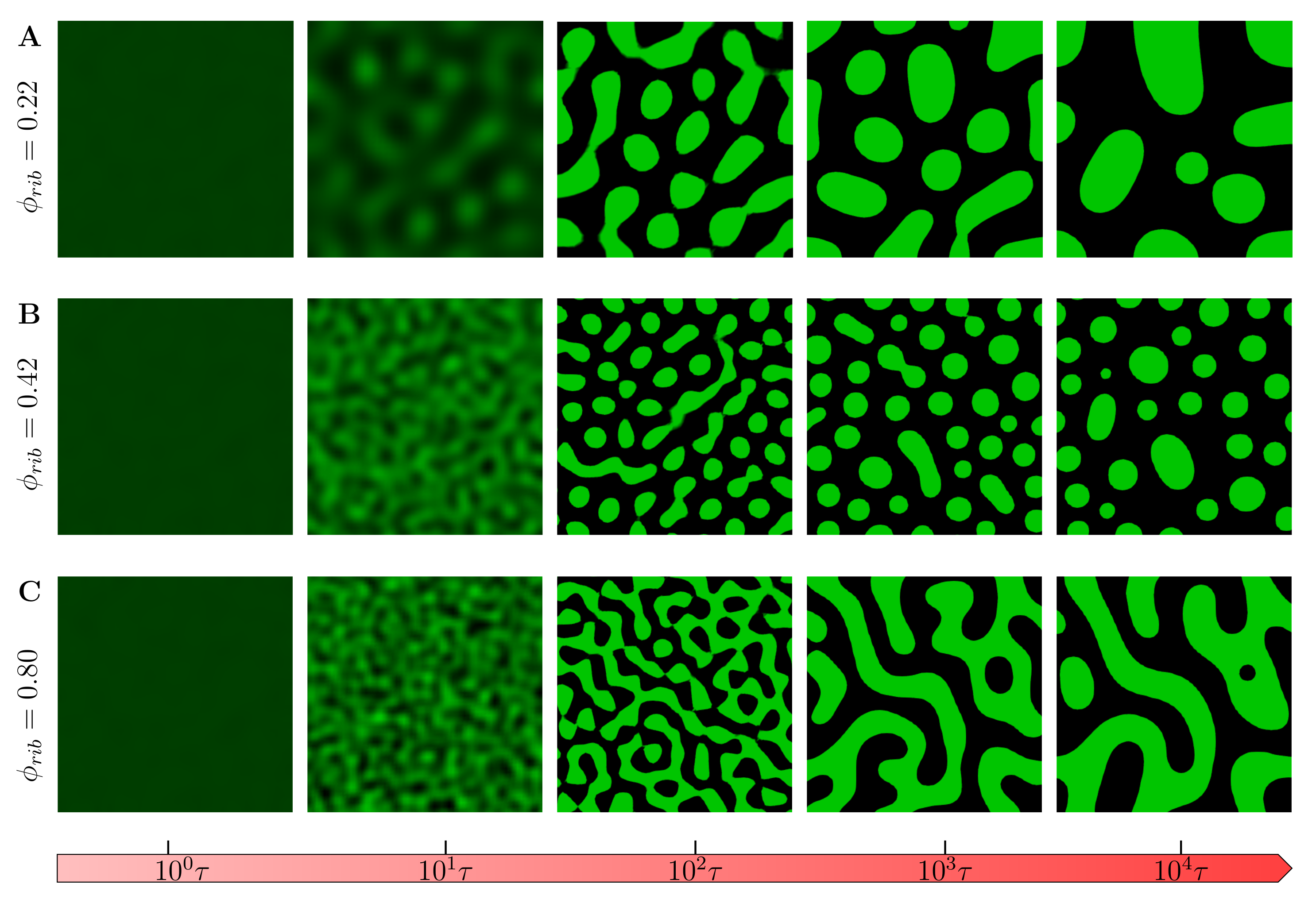 Ijms 22 06675 g005 550