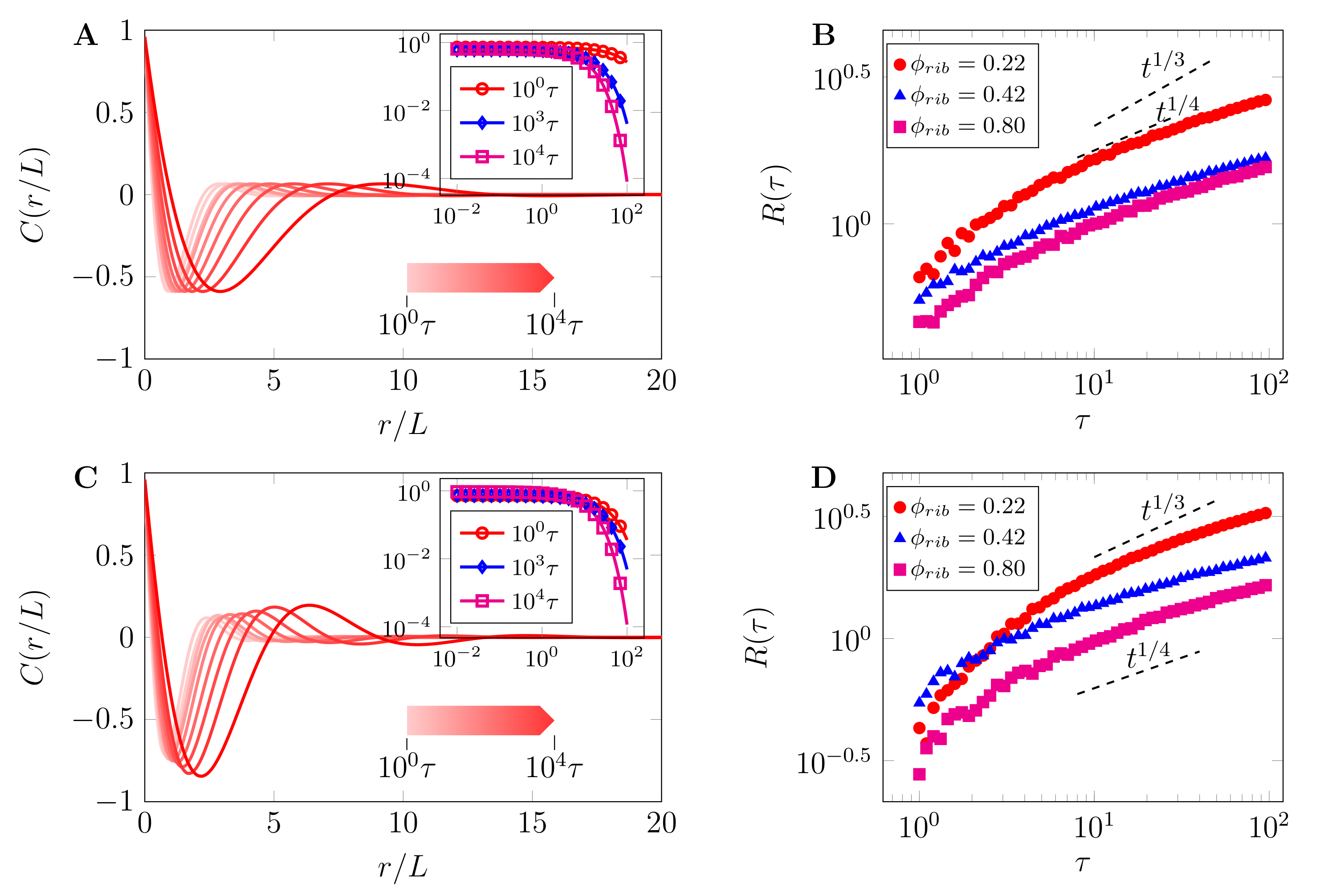 Ijms 22 06675 g008 550
