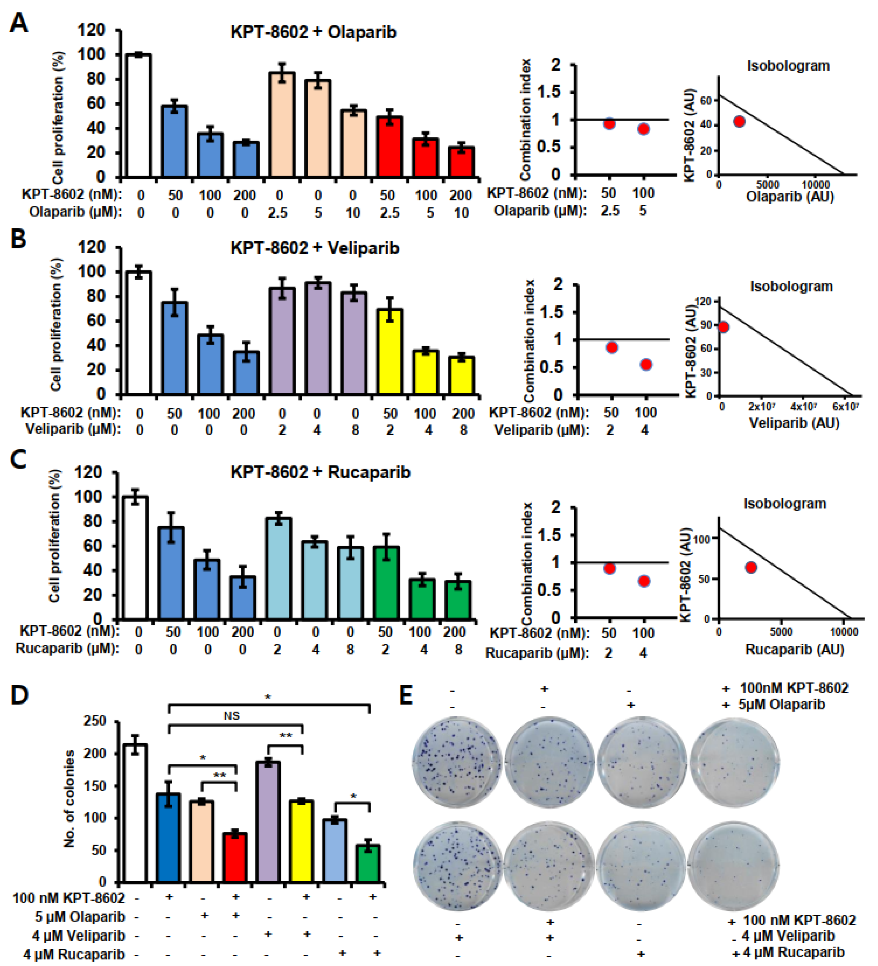 Ijms 22 06676 g001 Ijms 22 06676 g001