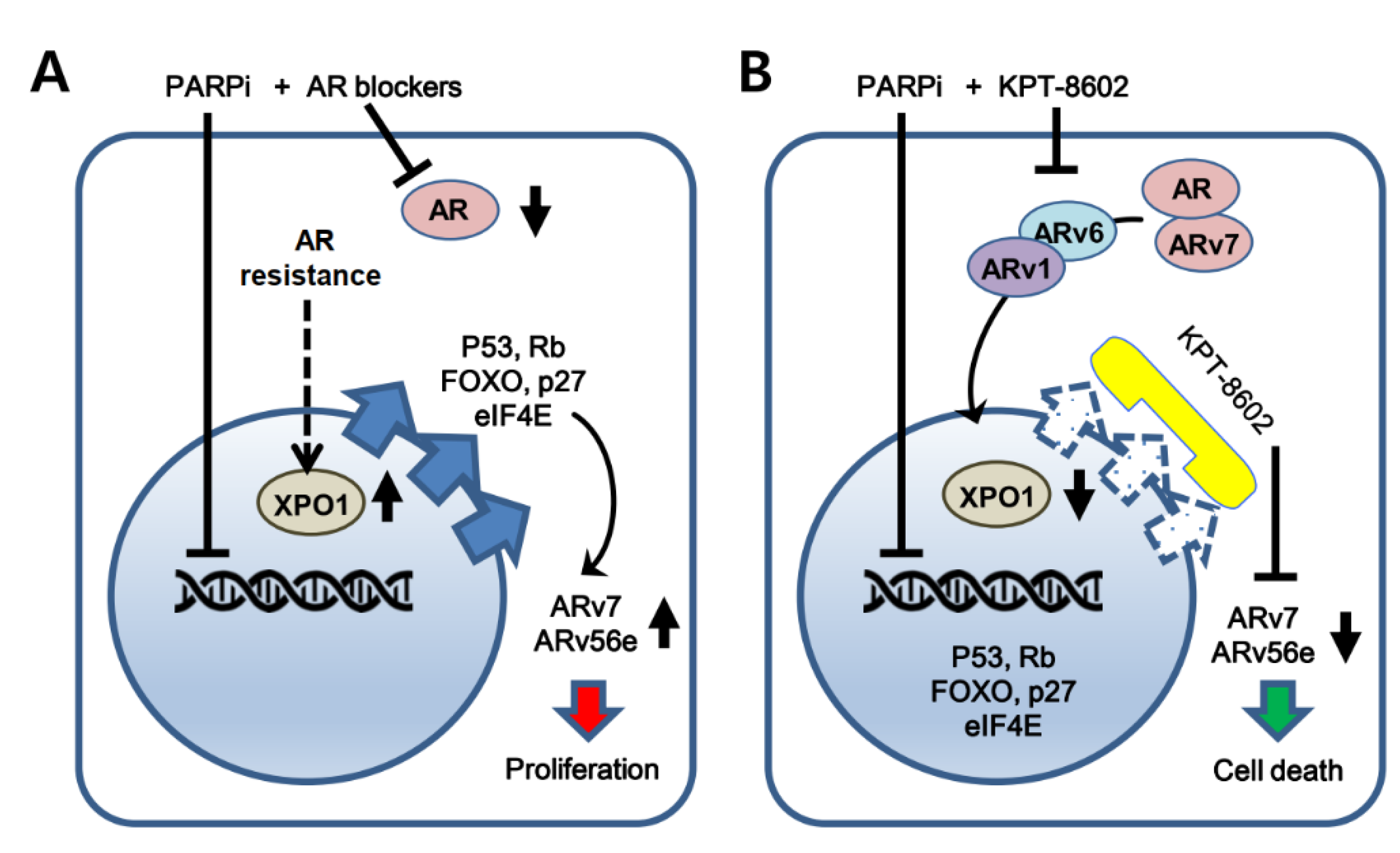 Ijms 22 06676 g006 Ijms 22 06676 g006