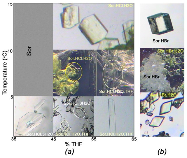 Ijms 22 06682 g001 550