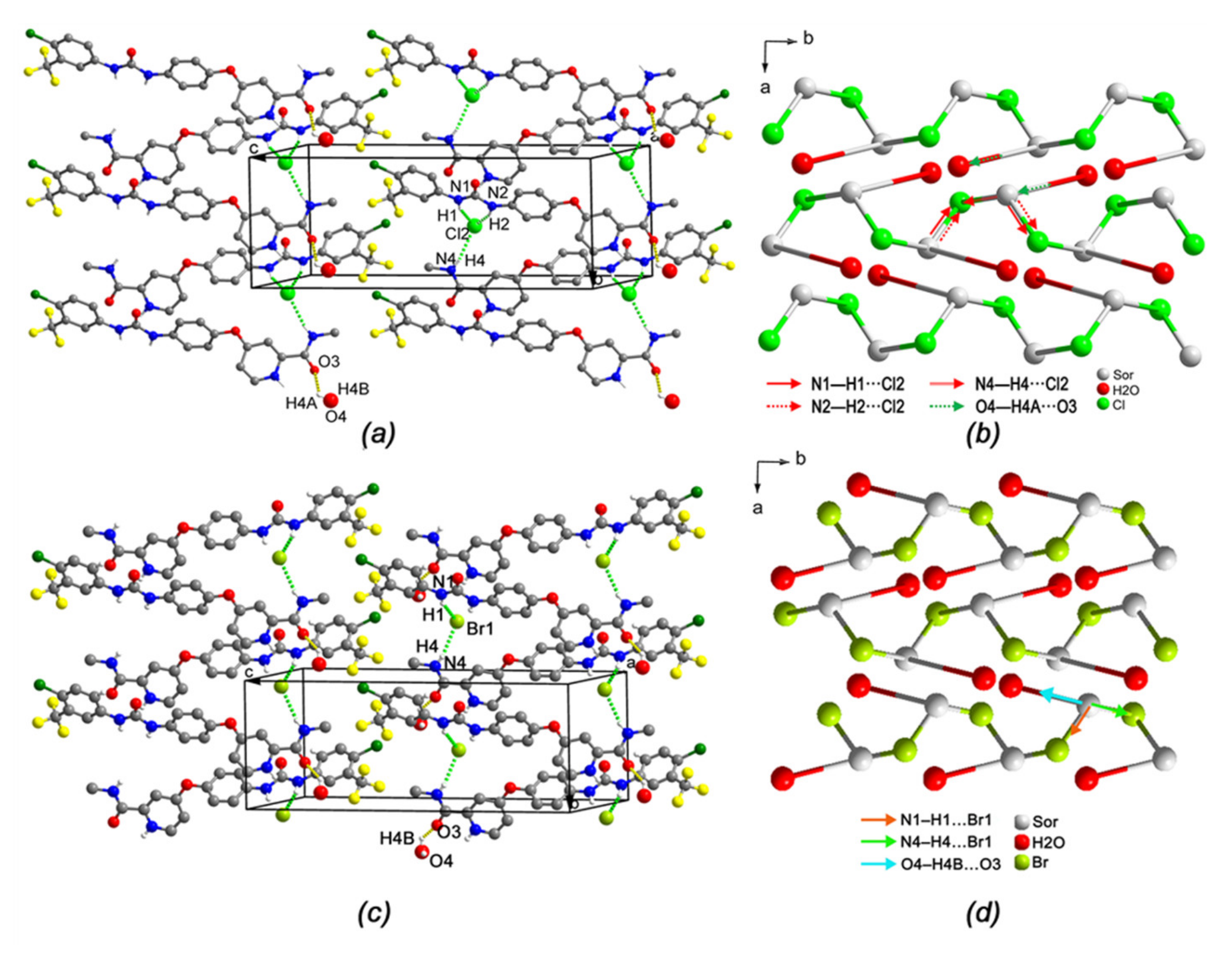 Ijms 22 06682 g005 550