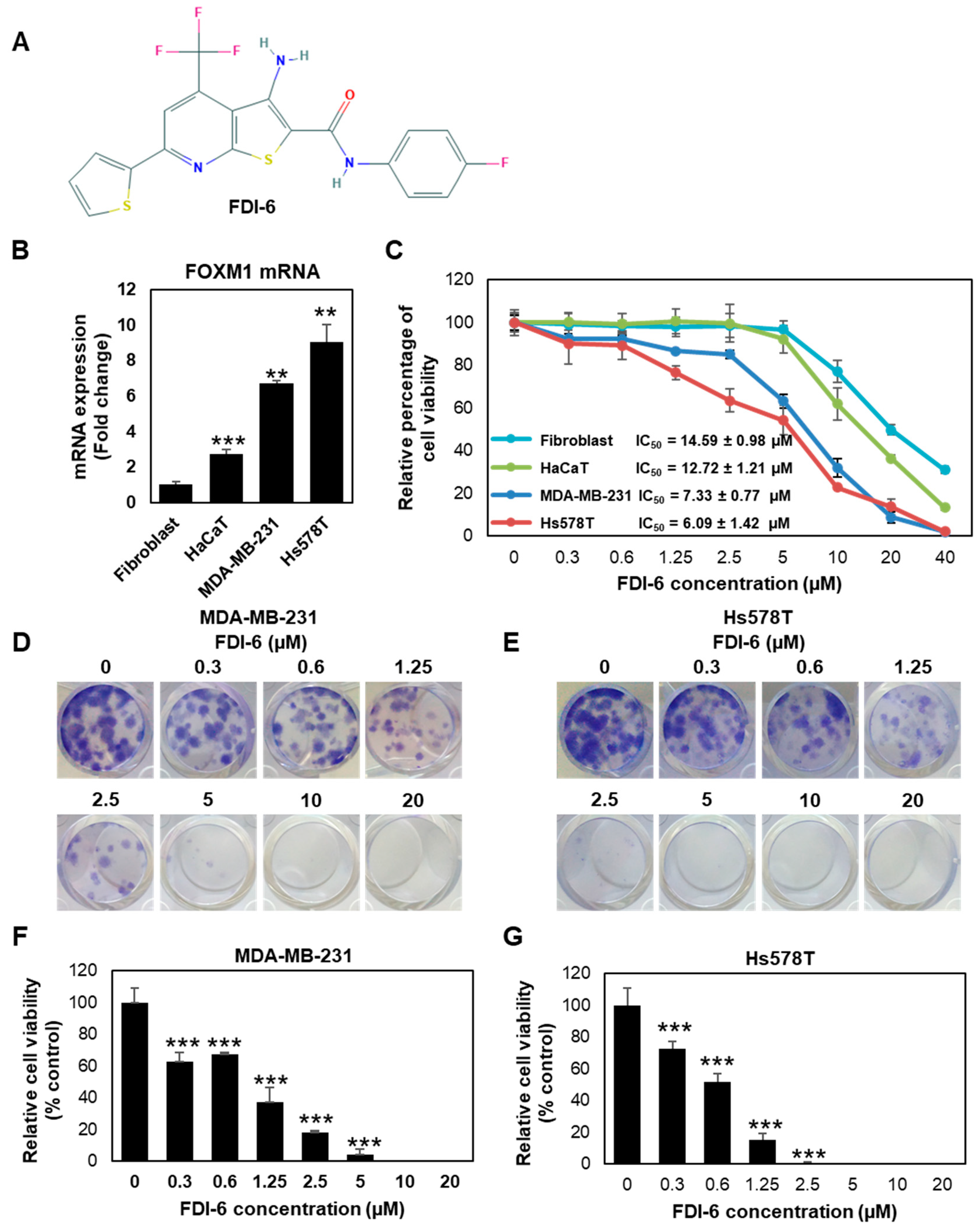 Ijms 22 06685 g001 Ijms 22 06685 g001
