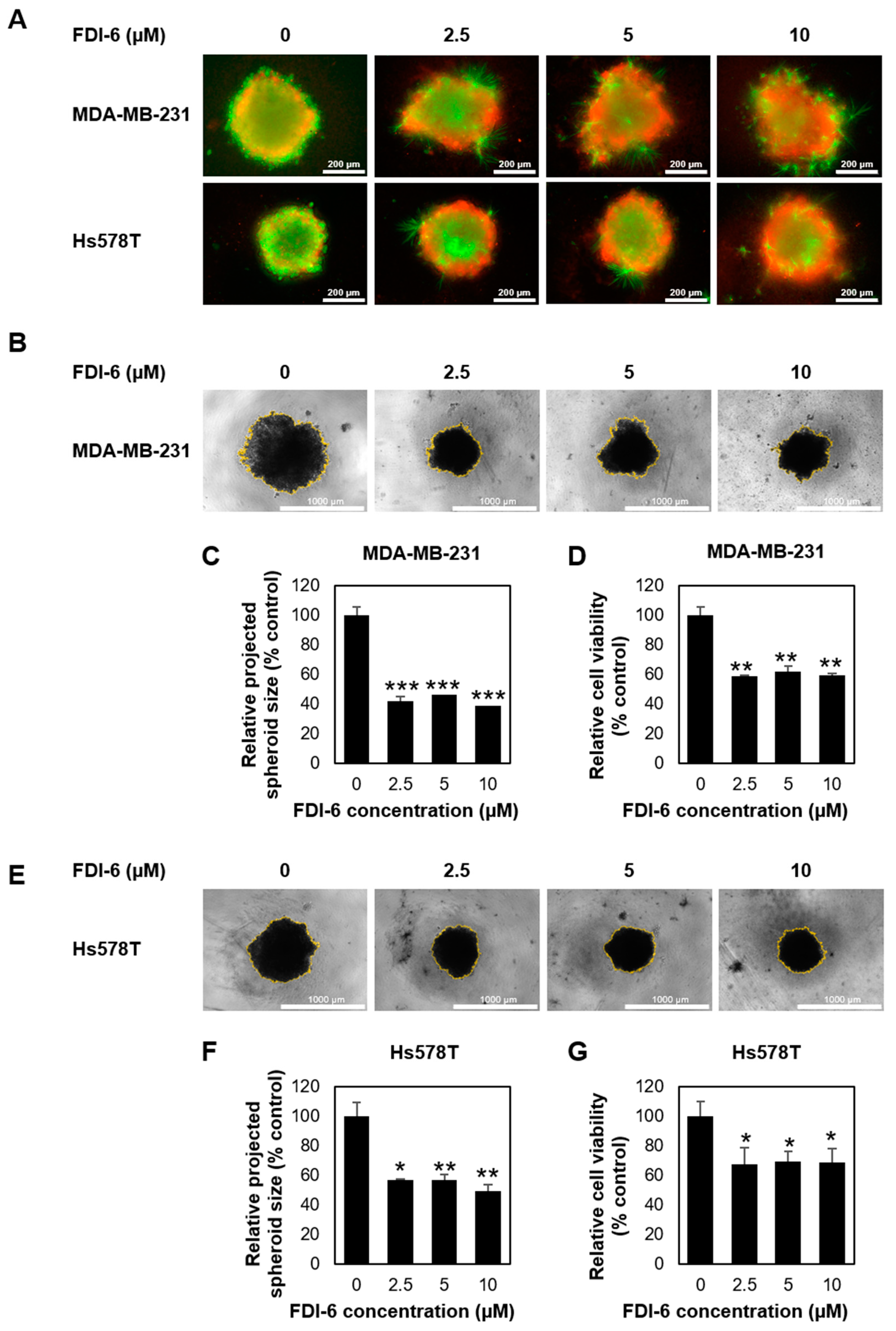 Ijms 22 06685 g002 Ijms 22 06685 g002