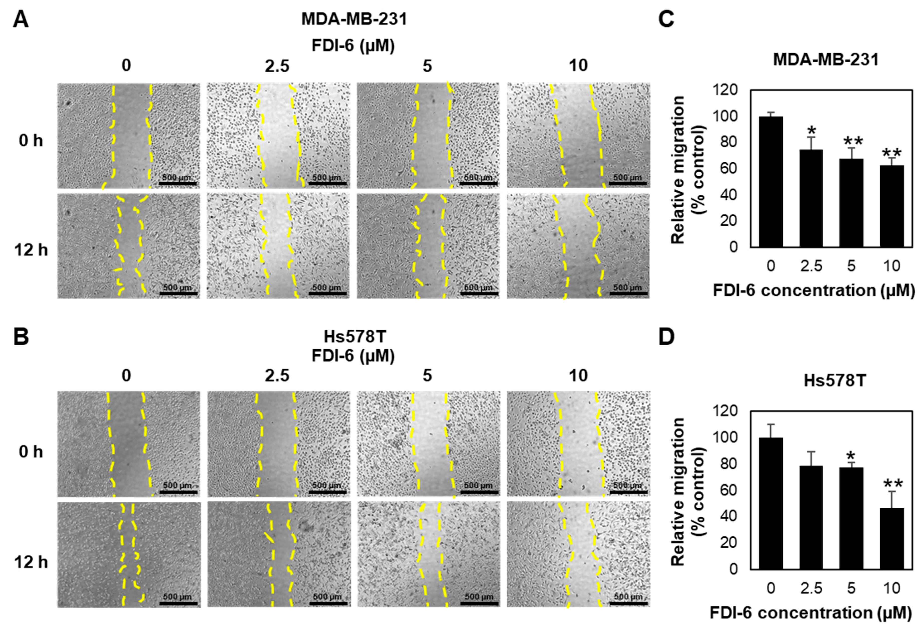 Ijms 22 06685 g003 Ijms 22 06685 g003