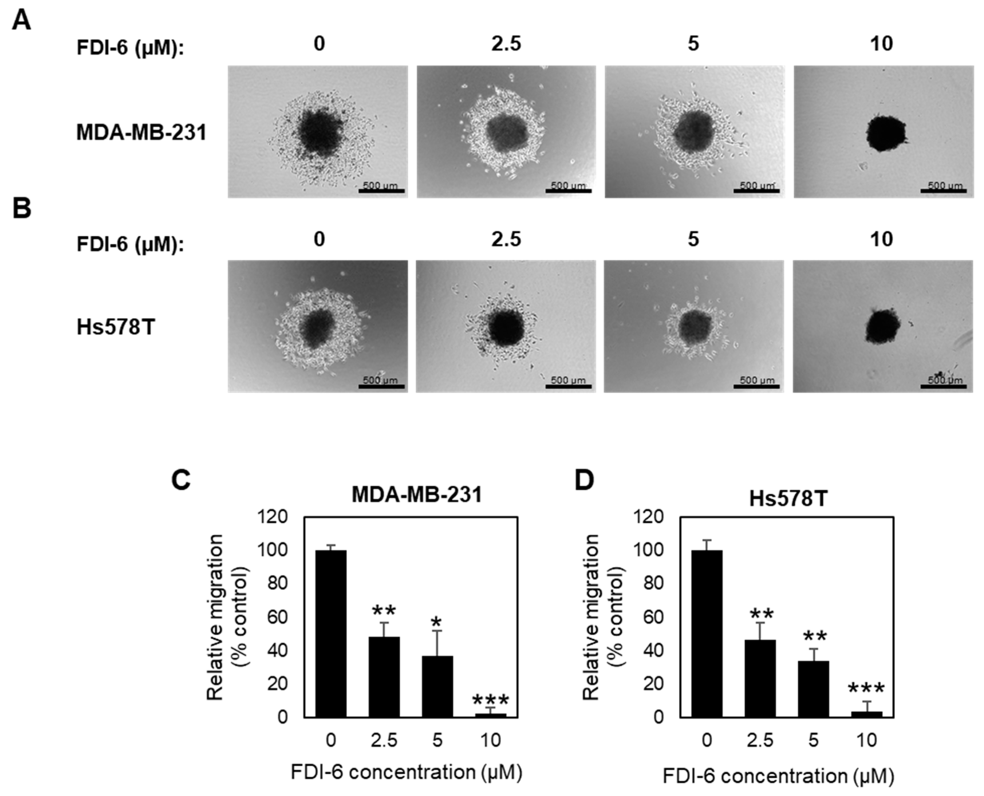 Ijms 22 06685 g004 Ijms 22 06685 g004