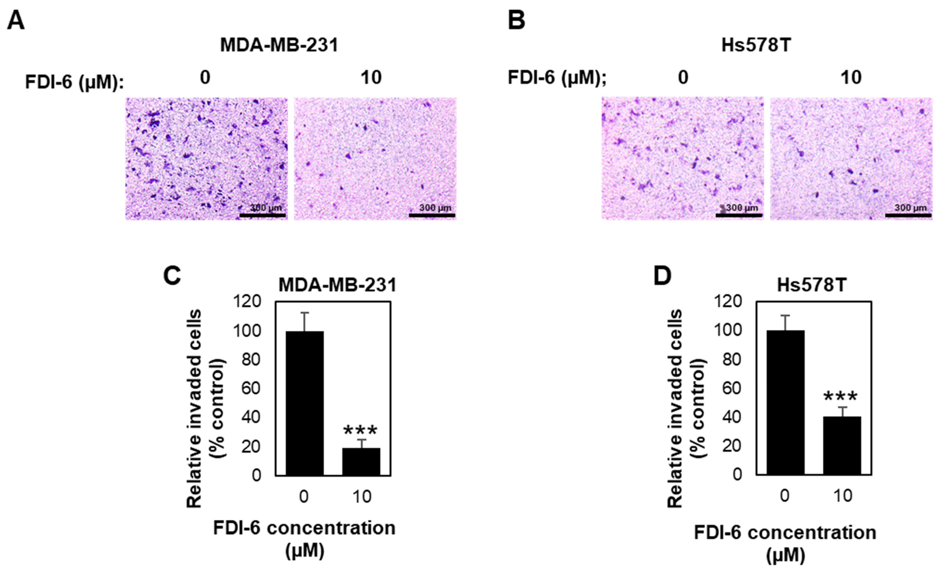 Ijms 22 06685 g005 Ijms 22 06685 g005