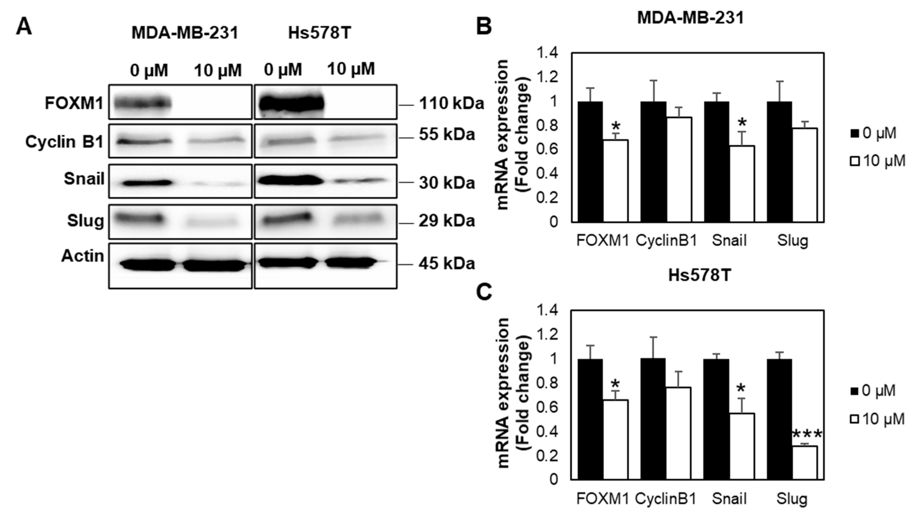 Ijms 22 06685 g006 Ijms 22 06685 g006