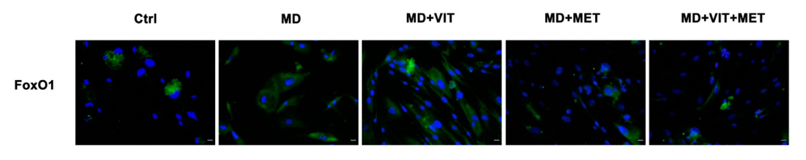 Ijms 22 06686 g005 550