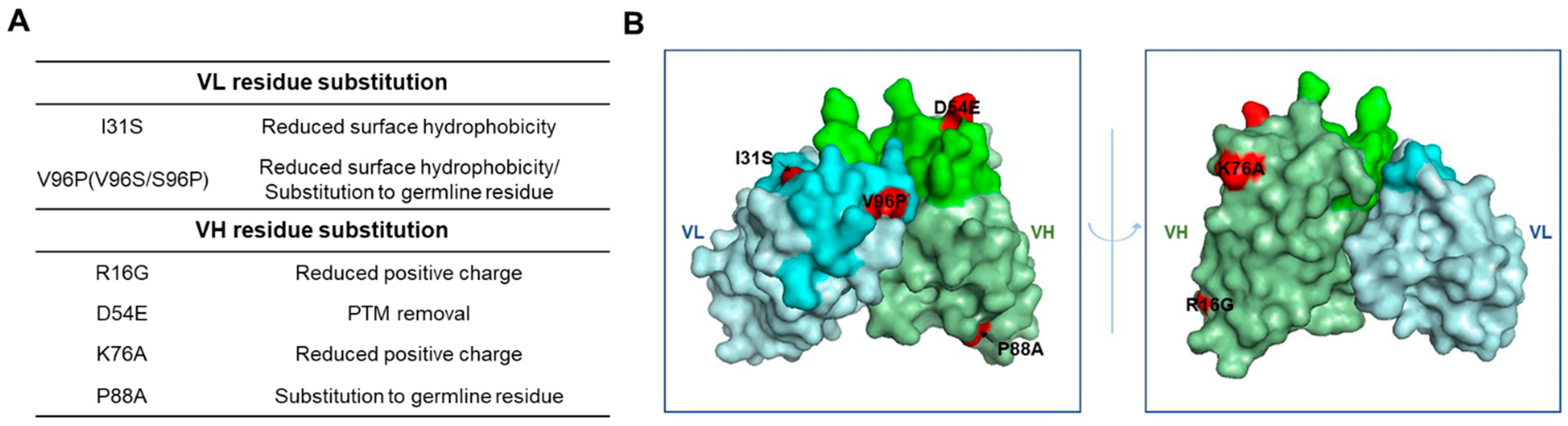 Ijms 22 06696 g001 550