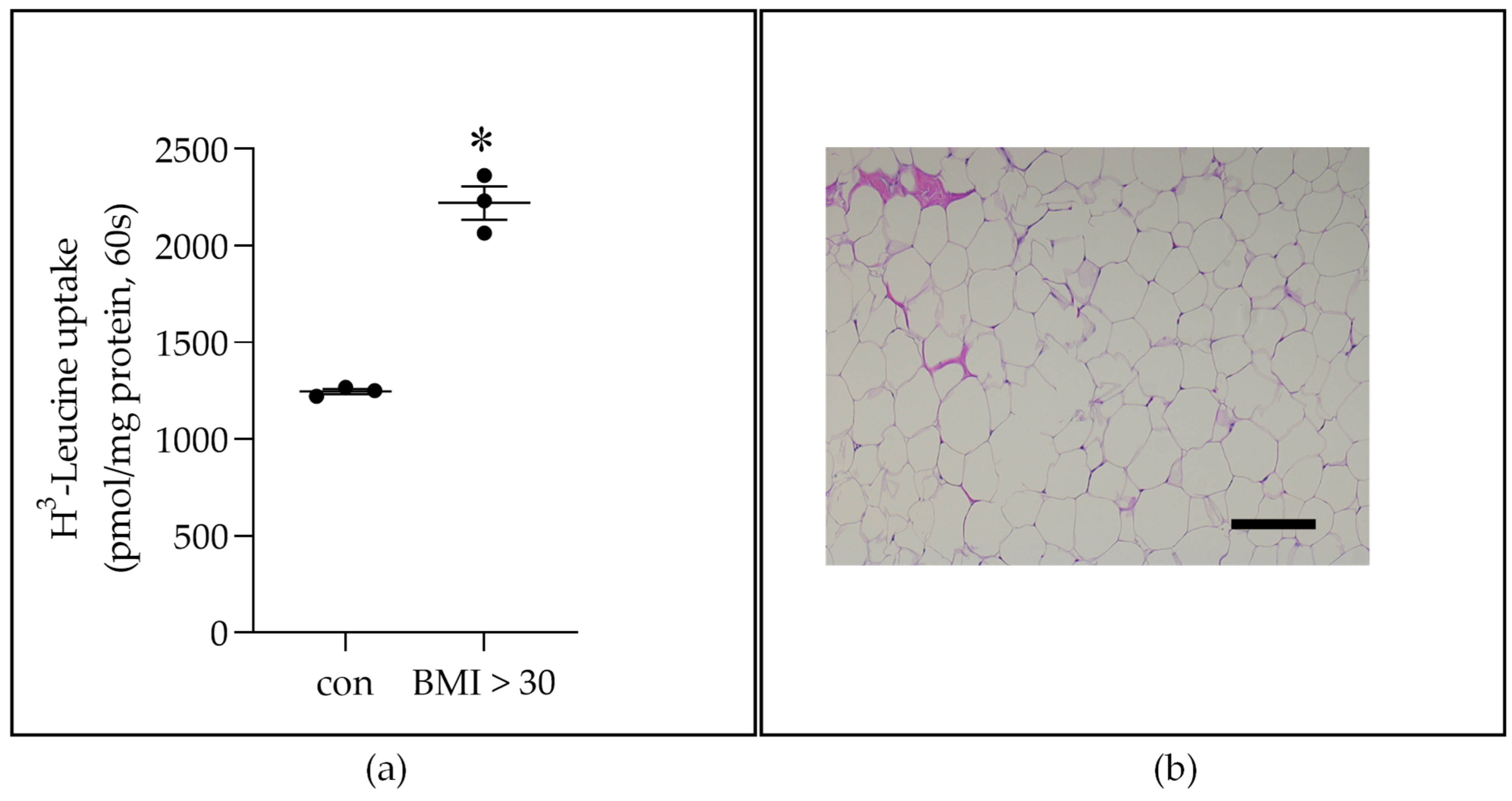 Ijms 22 06706 g002 550