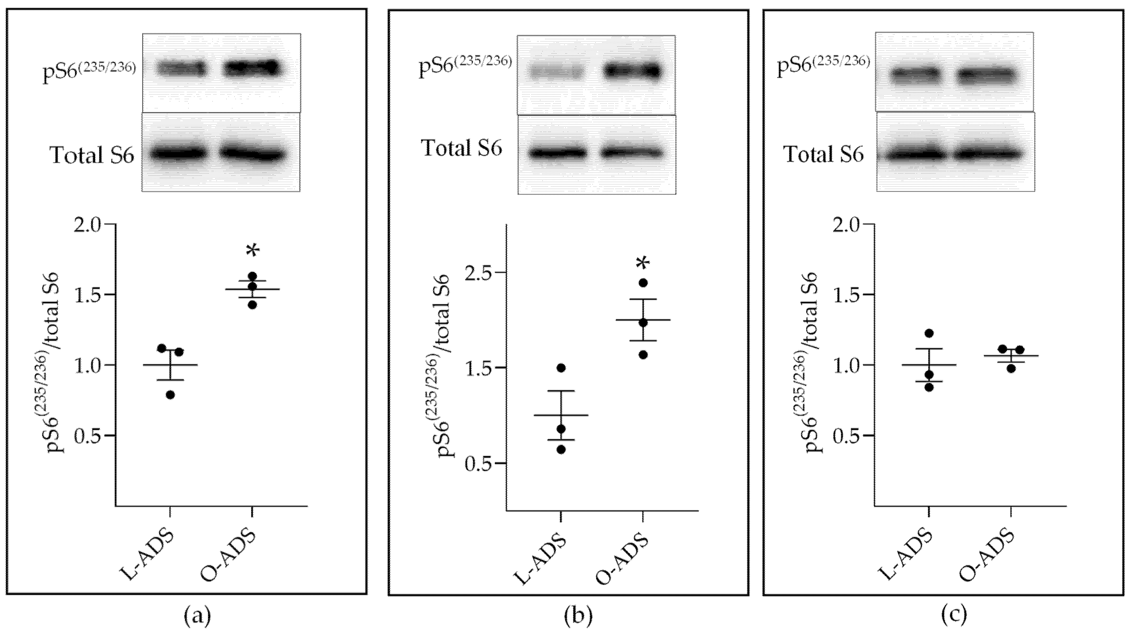 Ijms 22 06706 g005 550