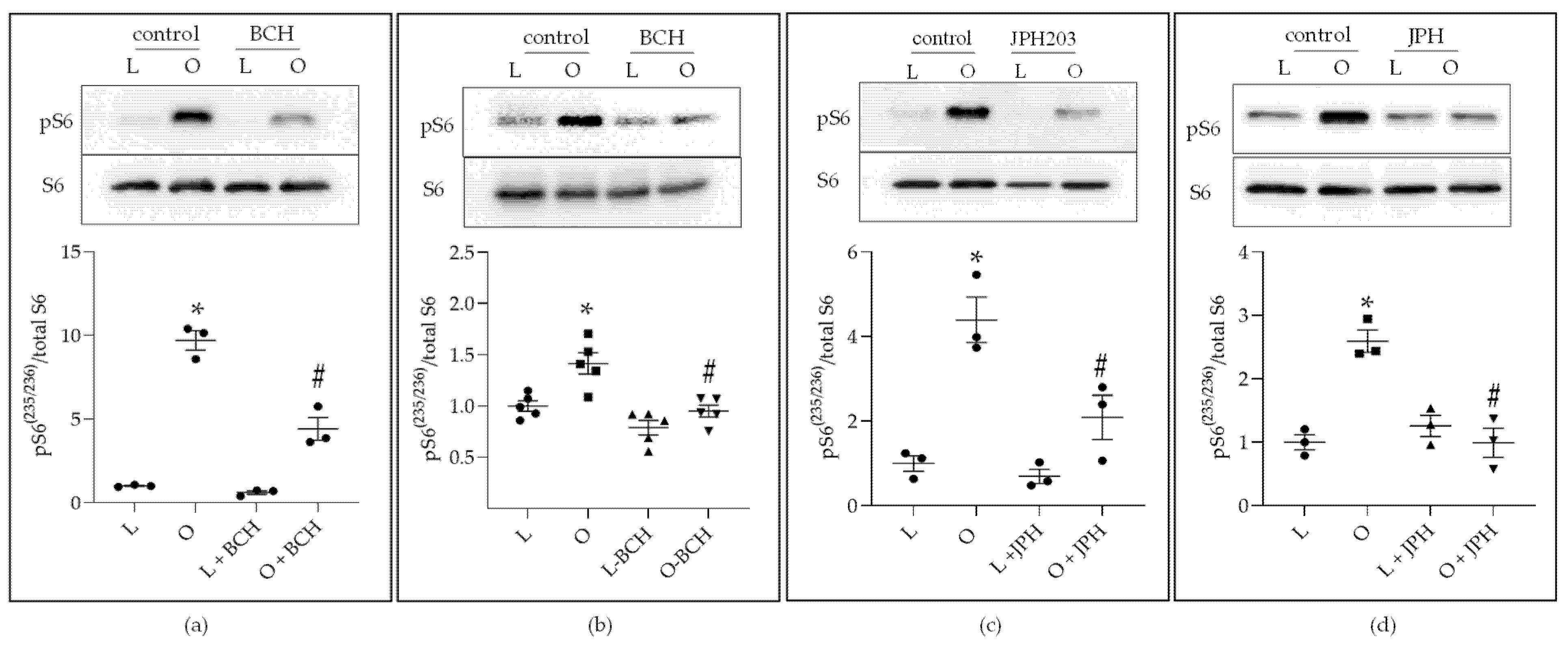 Ijms 22 06706 g006 550