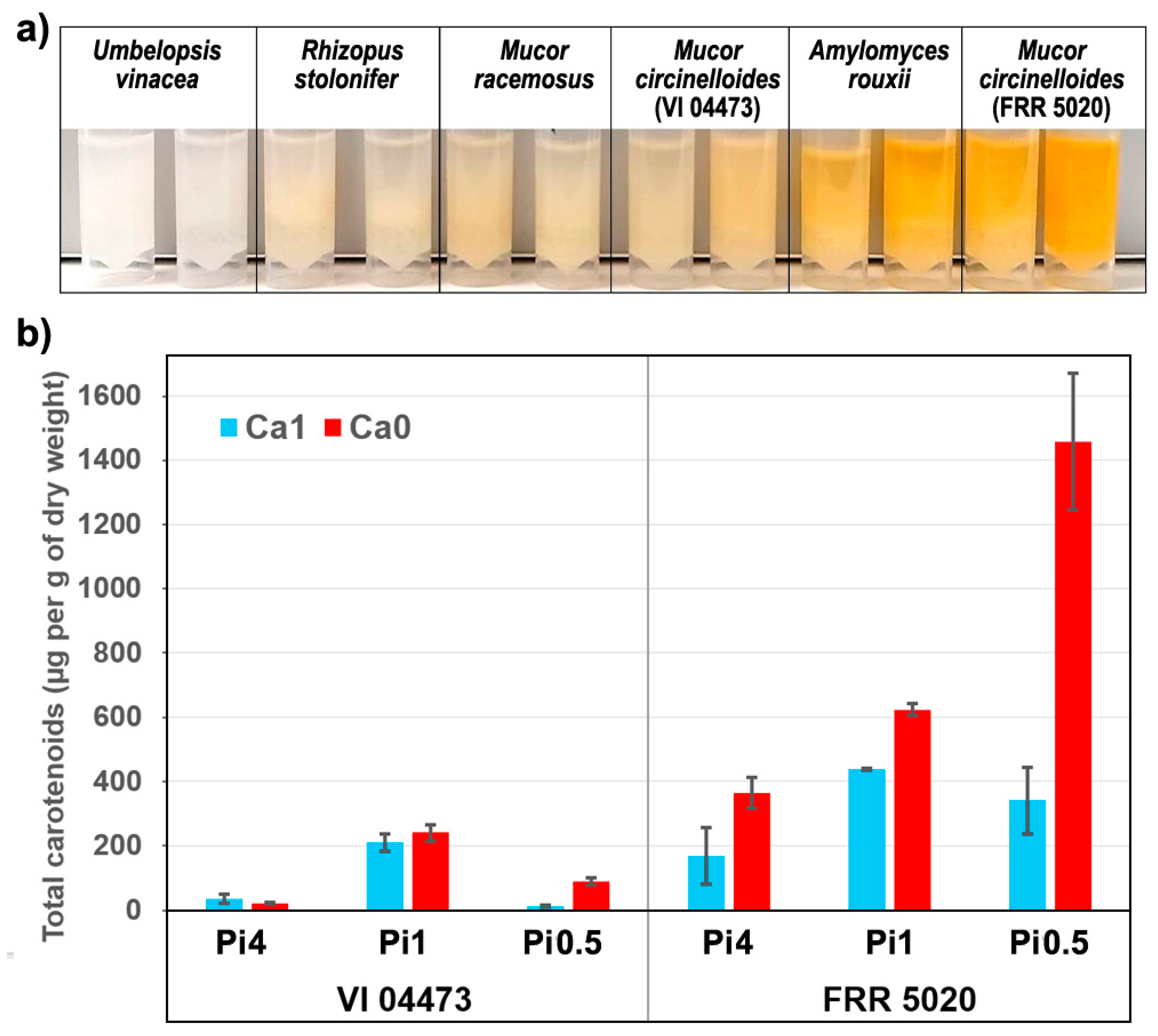 Ijms 22 06710 g002 550