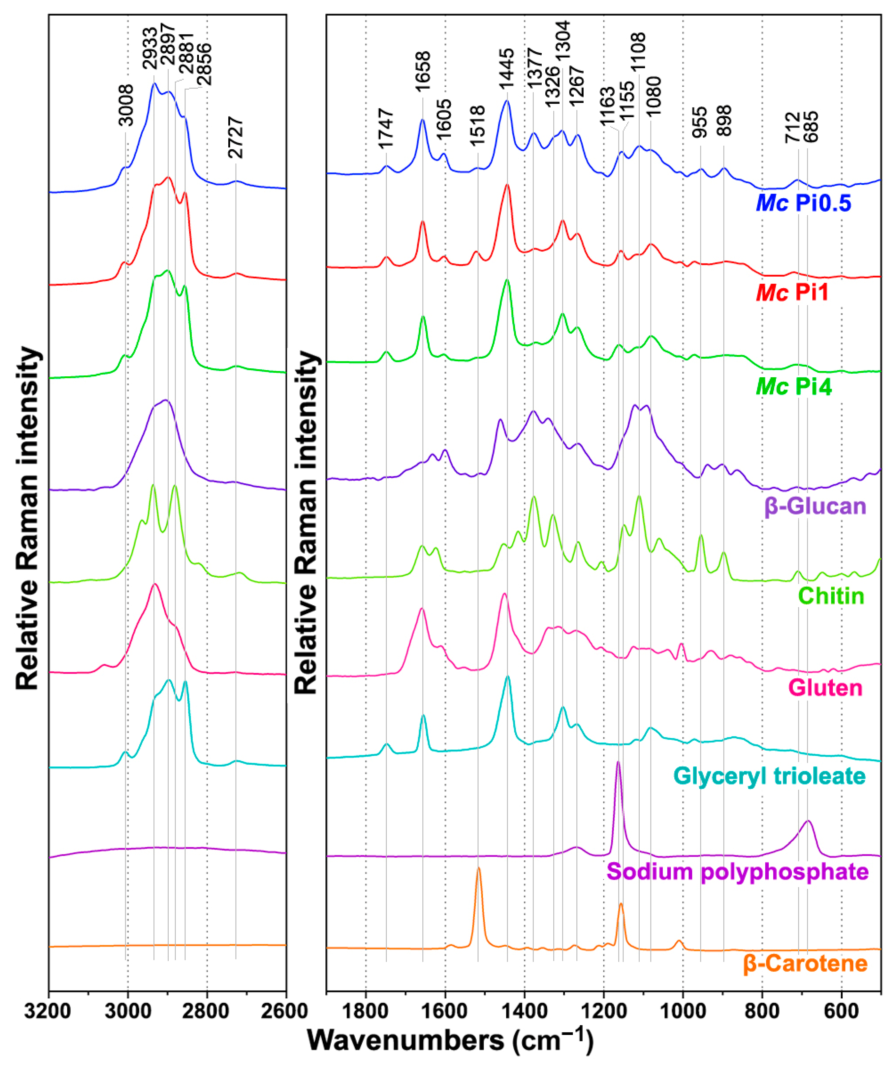 Ijms 22 06710 g005 550