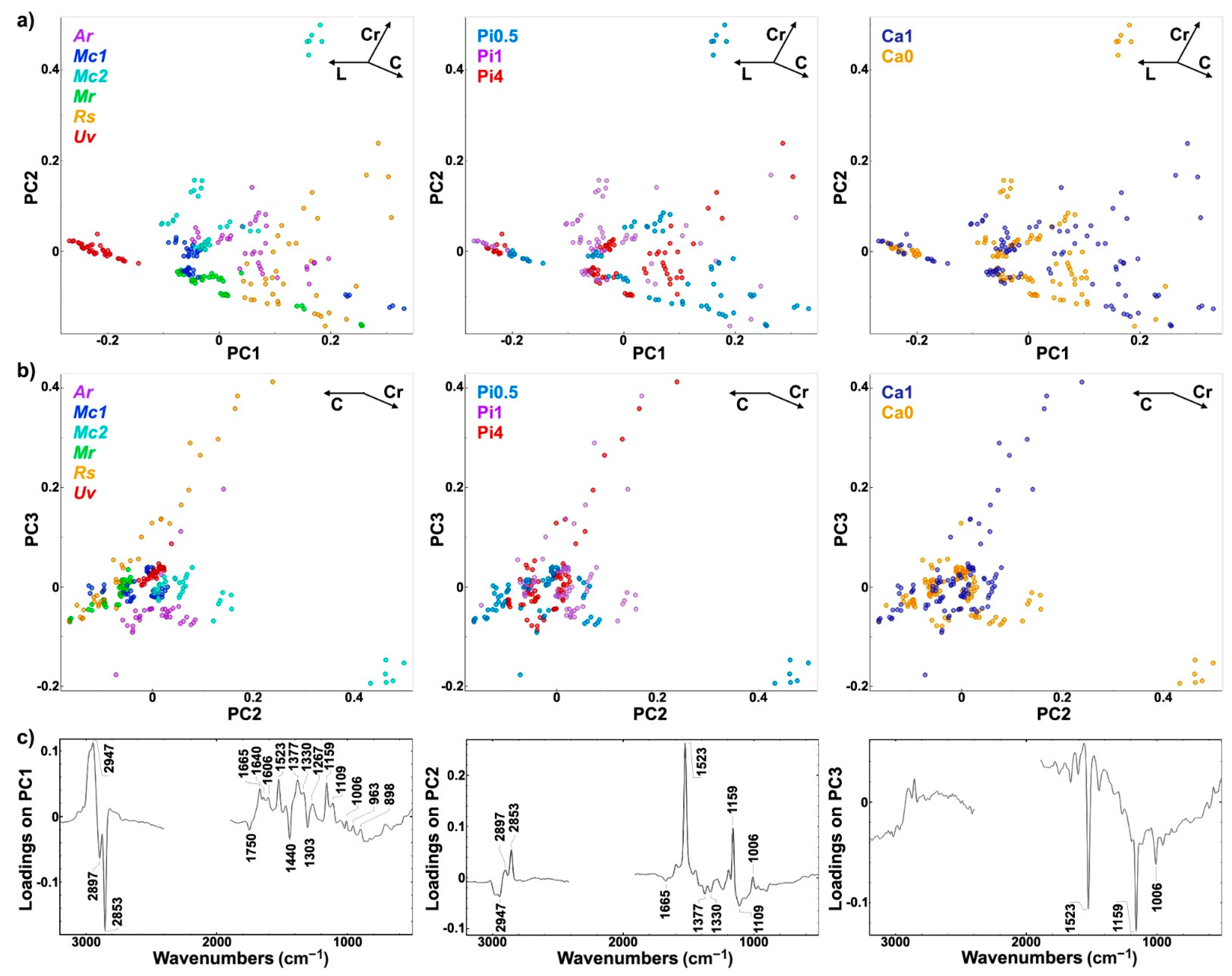 Ijms 22 06710 g007 550